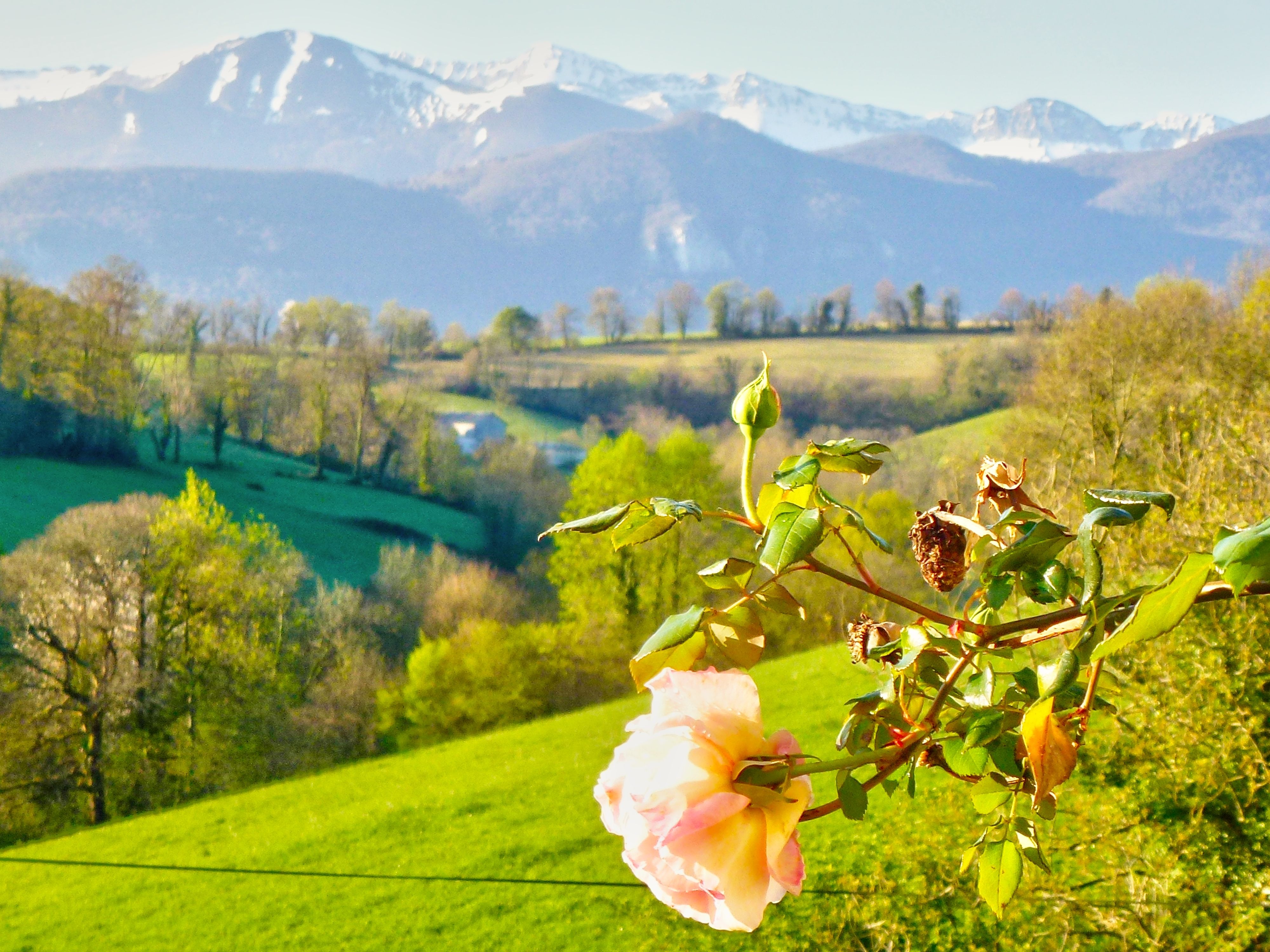 Propriété en France à vendre à Pau, Pyrénées-Atlantiques - €770 000 - photo 