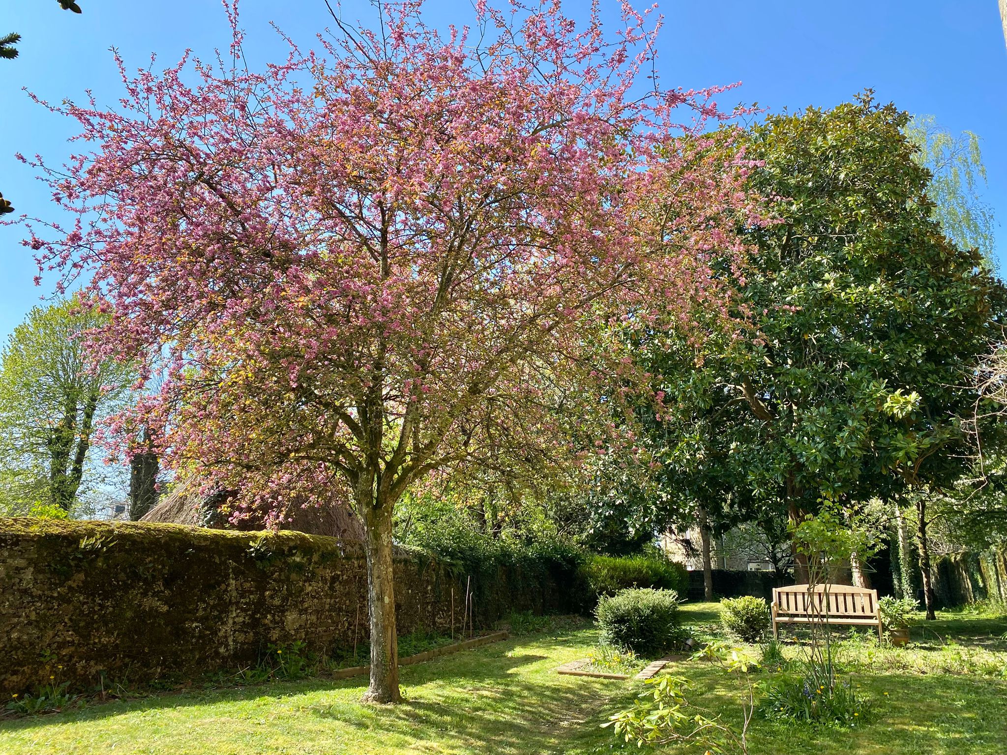 Propriété en France à vendre à Mayenne, Mayenne - €648 900 - photo 