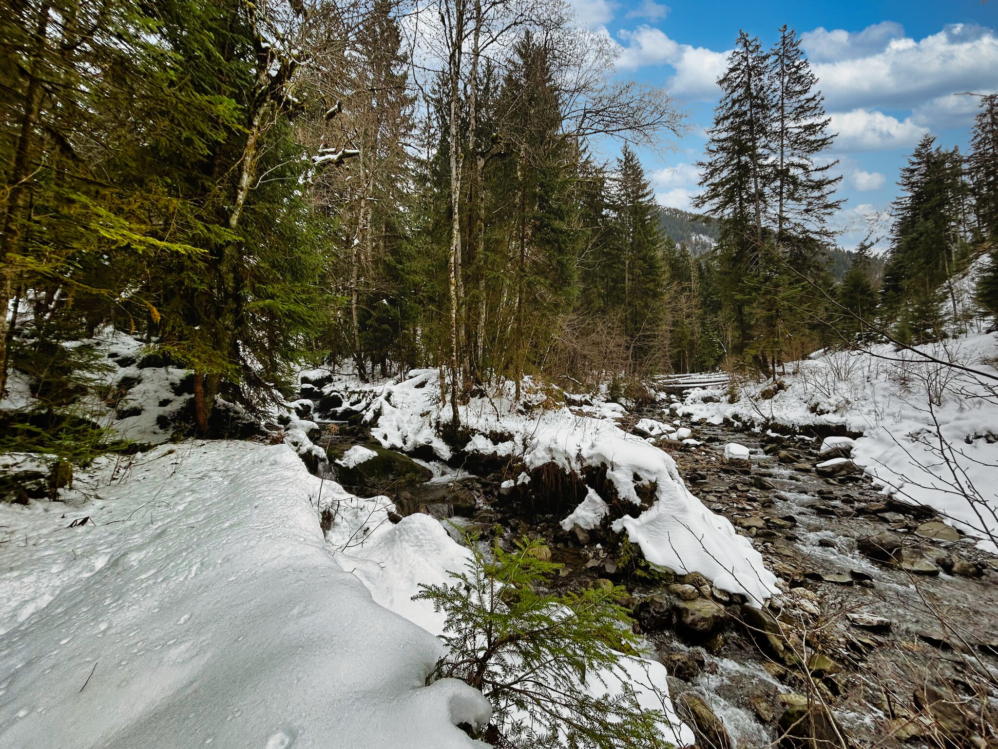 French property for sale in Manigod, Haute-Savoie - €942,000 - photo 