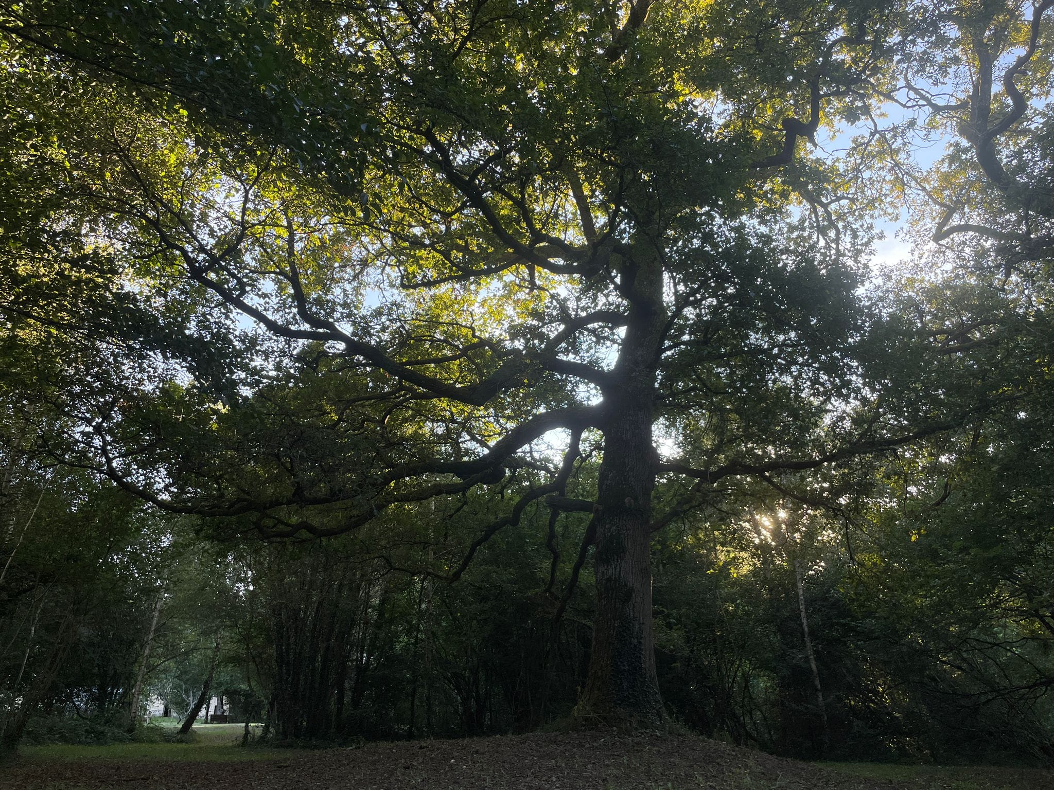 French property for sale in Château-Chervix, Haute-Vienne - €585,000 - photo 