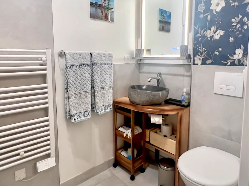 French property for sale in Saumur, Maine-et-Loire - €575,000 - photo 