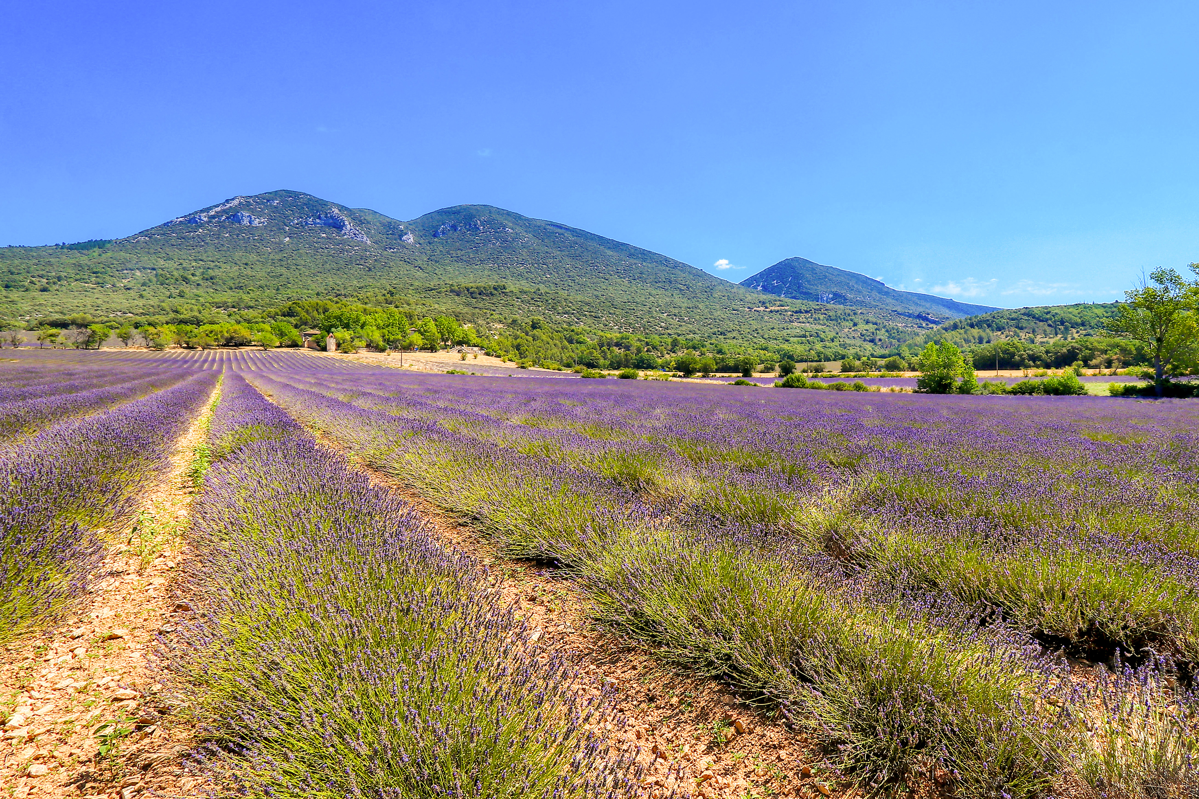 French property for sale in Rustrel, Vaucluse - €2,635,000 - photo 