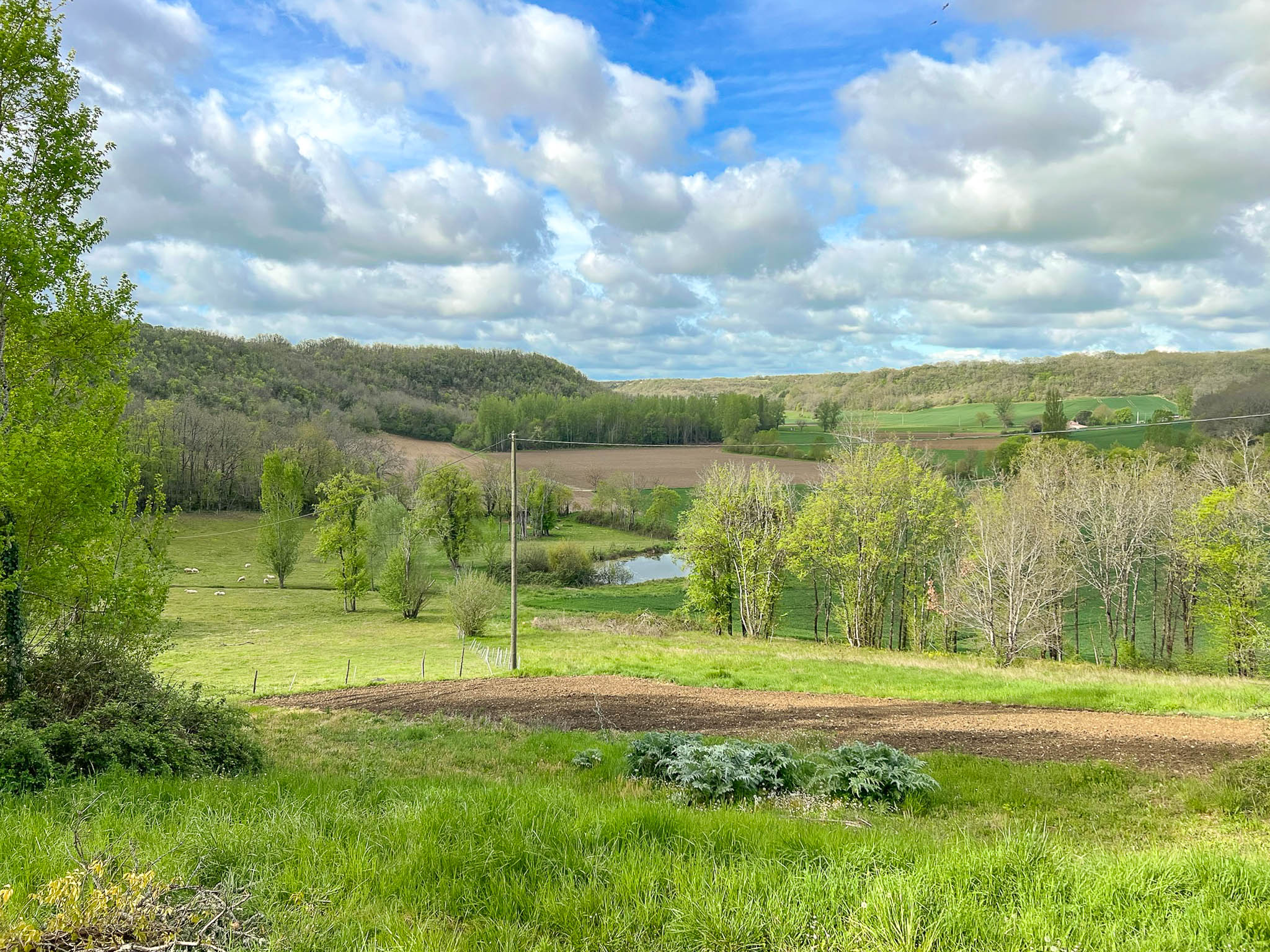 Propriété en France à vendre à Montcuq-en-Quercy-Blanc, Lot - €775 000 - photo 