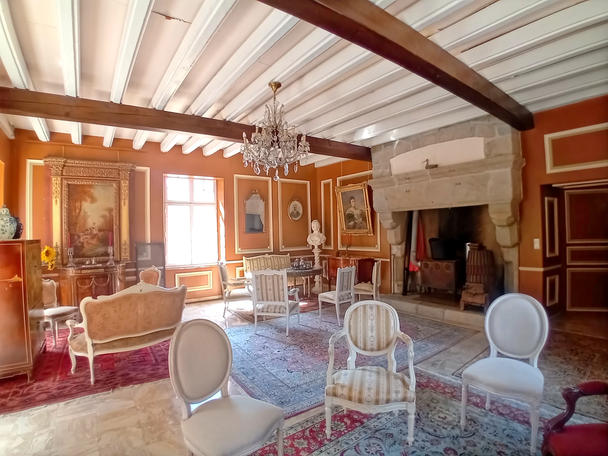 French property for sale in Geay, Deux-Sèvres - €1,170,212 - photo 