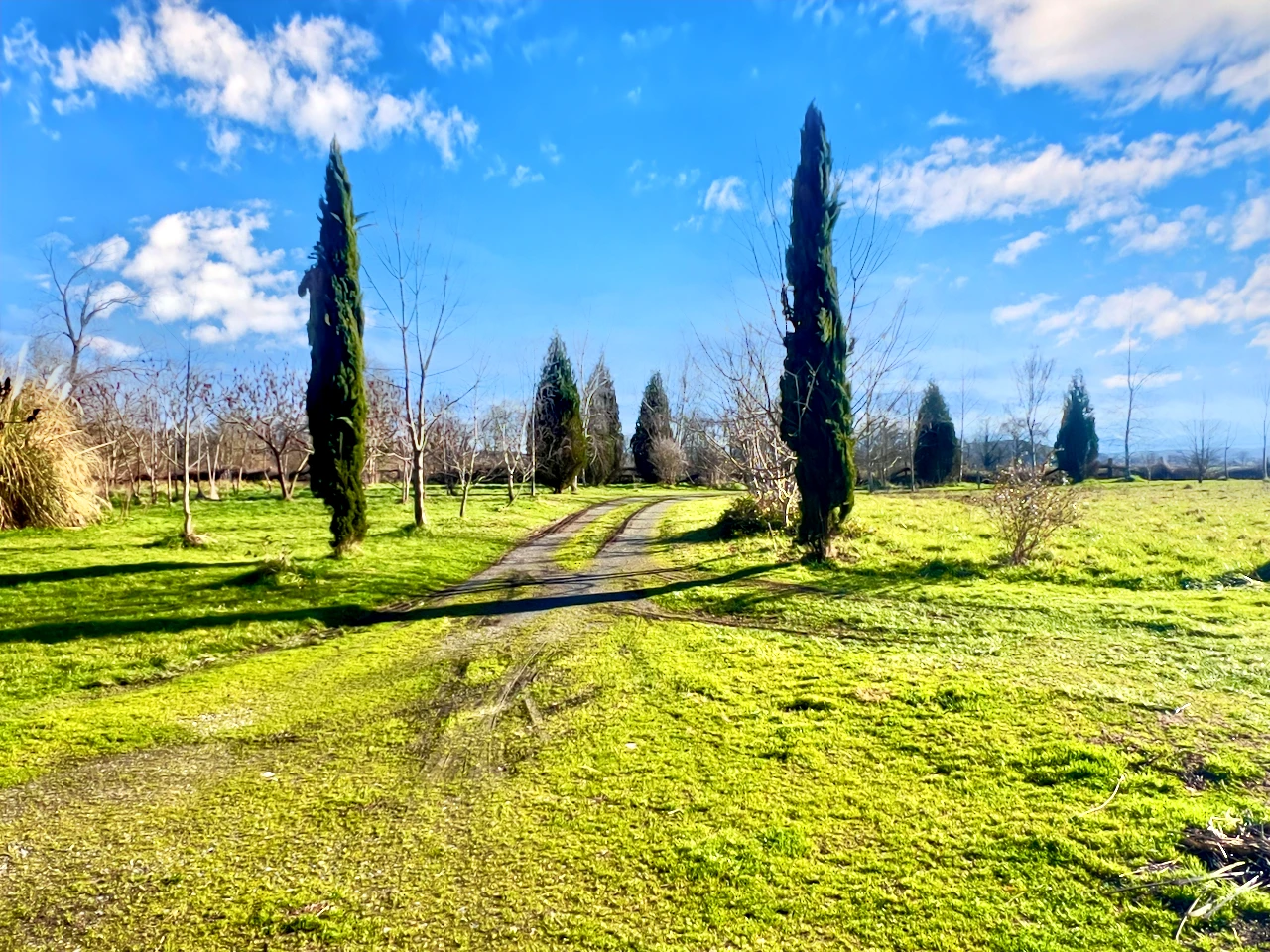 French property for sale in Montégut-Arros, Gers - €570,000 - photo 