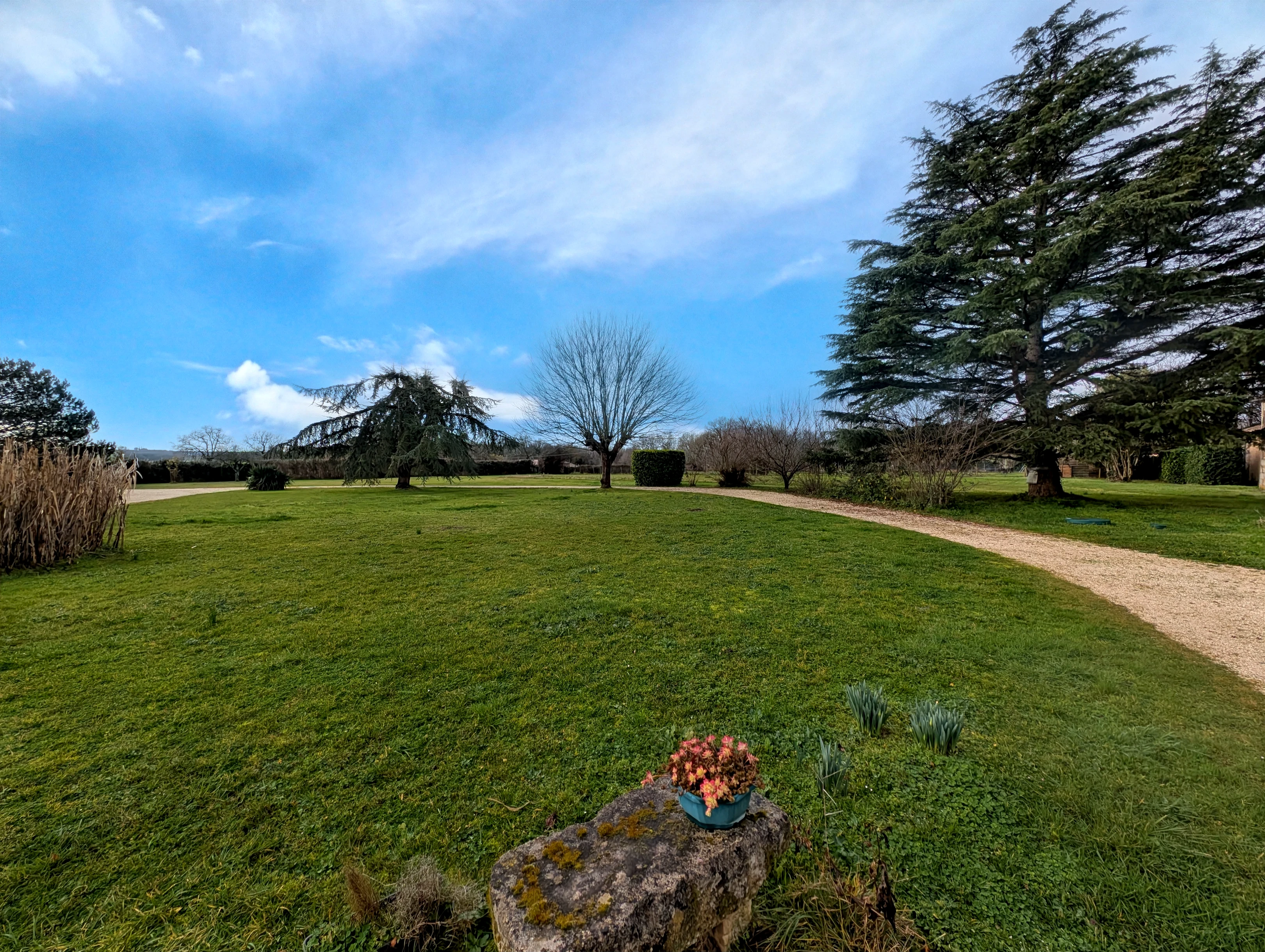 Propriété en France à vendre à Semoussac, Charente-Maritime - €460 000 - photo 