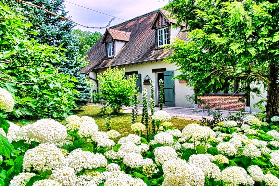 French property for sale in Blois, Loir-et-Cher - €590,000 - photo 