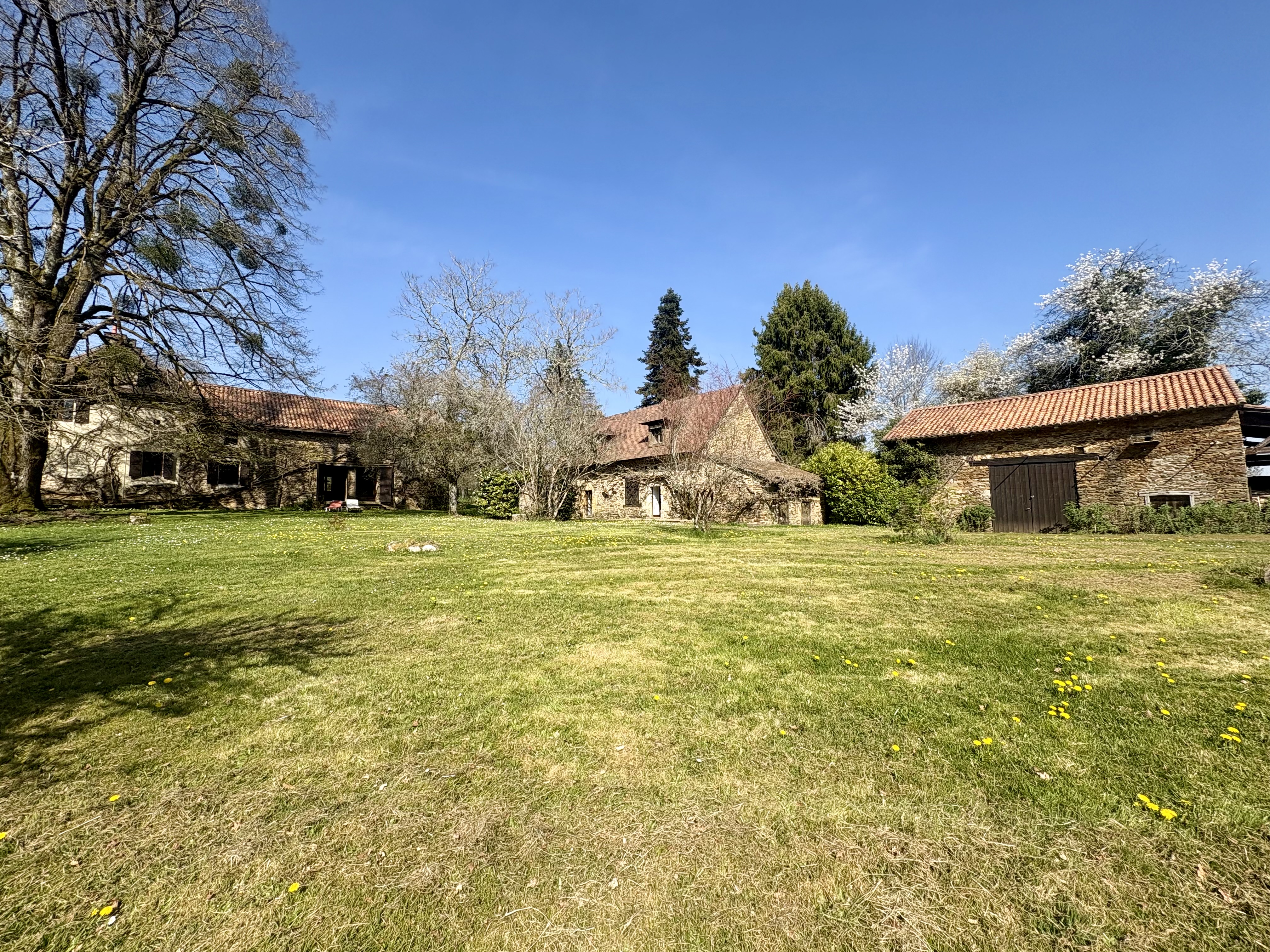 A very grand & spacious 2 bedroom character house with two gites, swimming pool & 23 hectares of land à Saint-Jory-de-Chalais