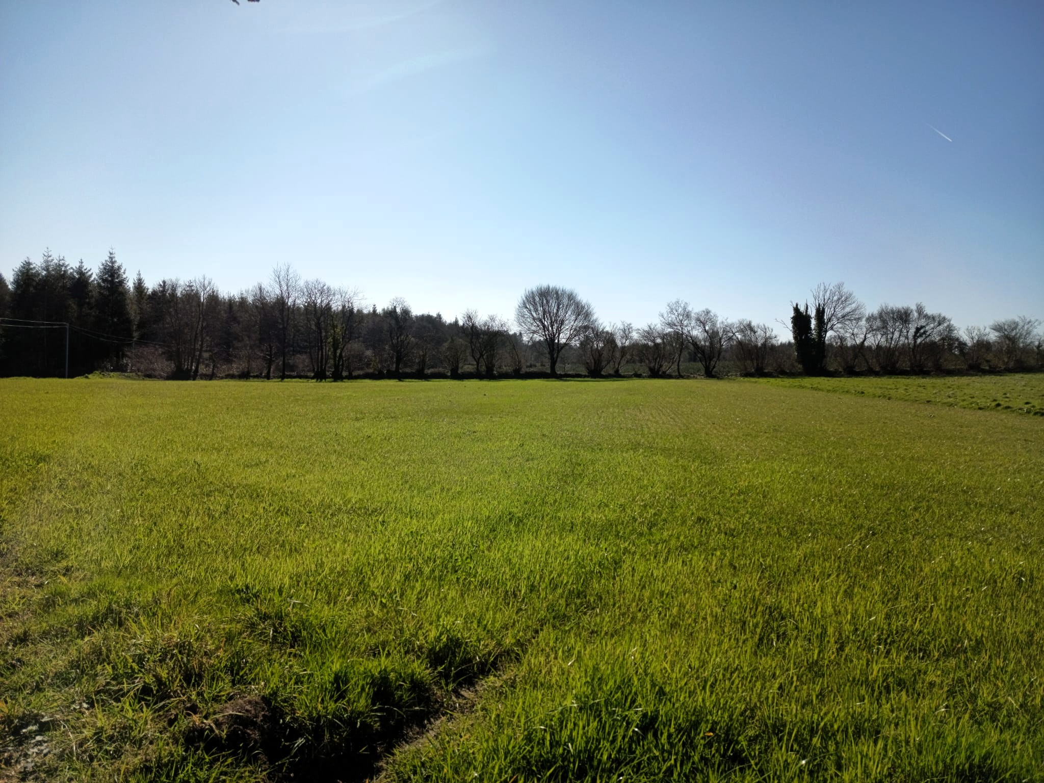 Propriété en France à vendre à Scaër, Finistère - €916 900 - photo 