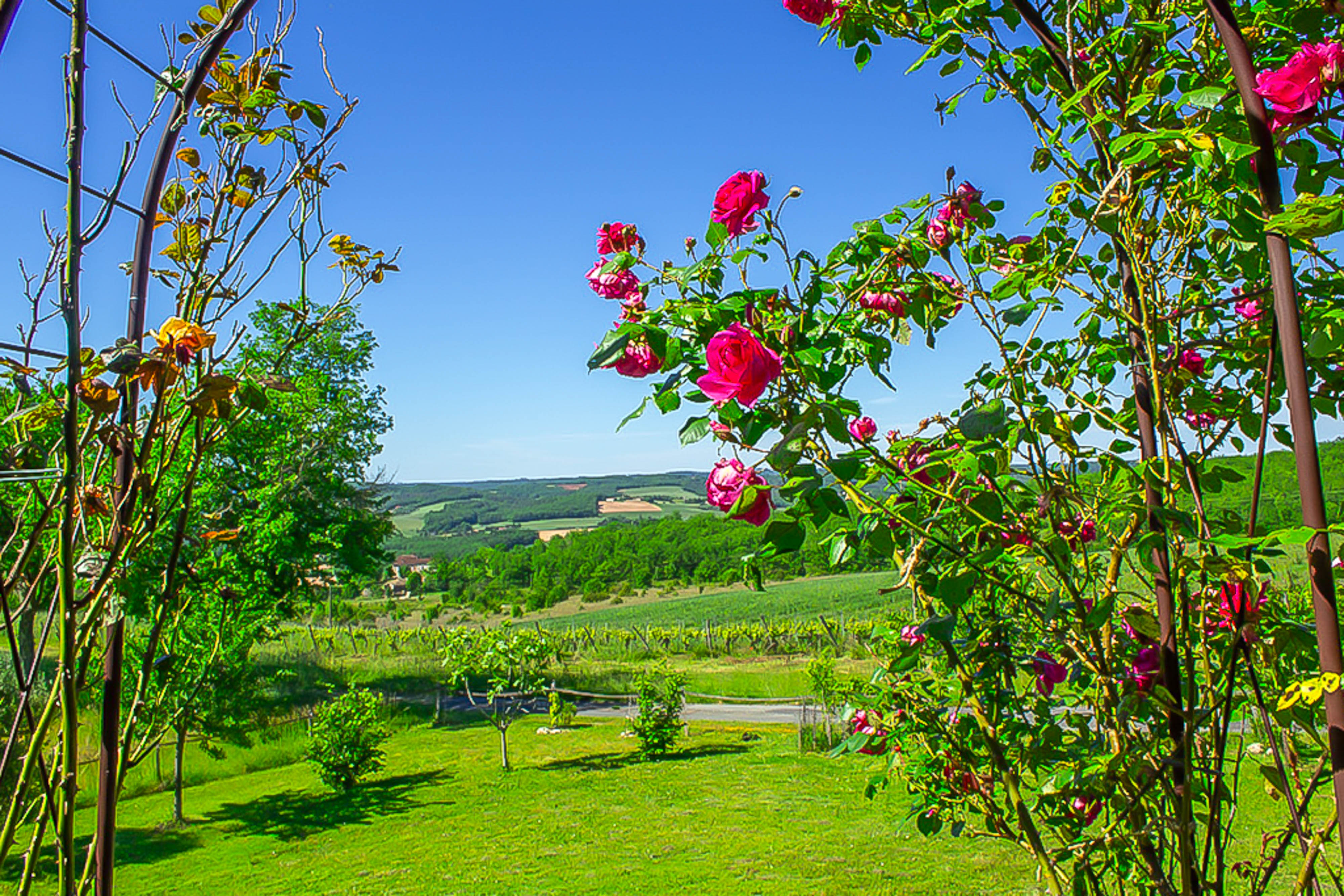 French property for sale in Mauroux, Lot - €624,000 - photo 