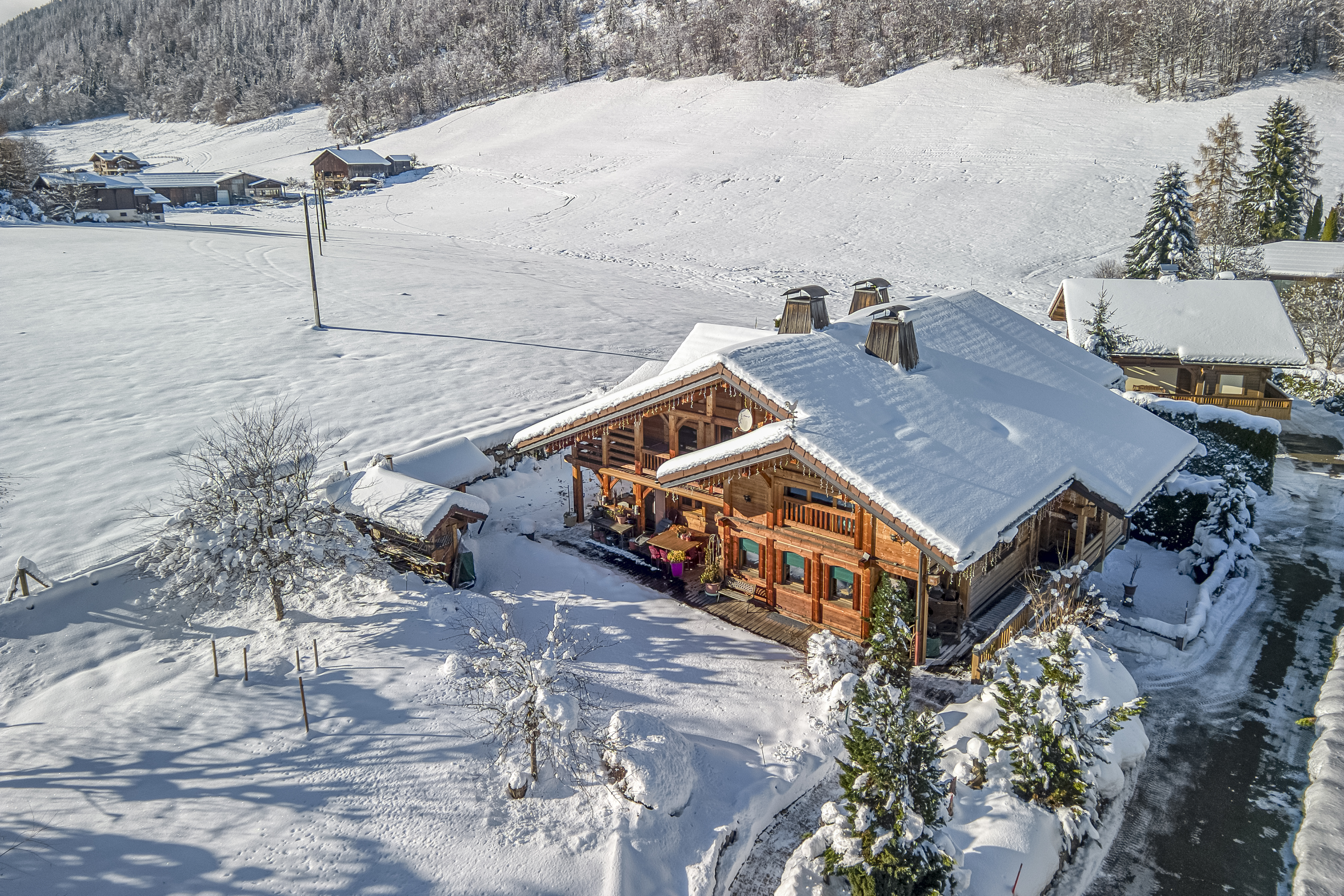French property for sale in Saint-Jean-de-Sixt, Haute-Savoie - €3,380,000 - photo 