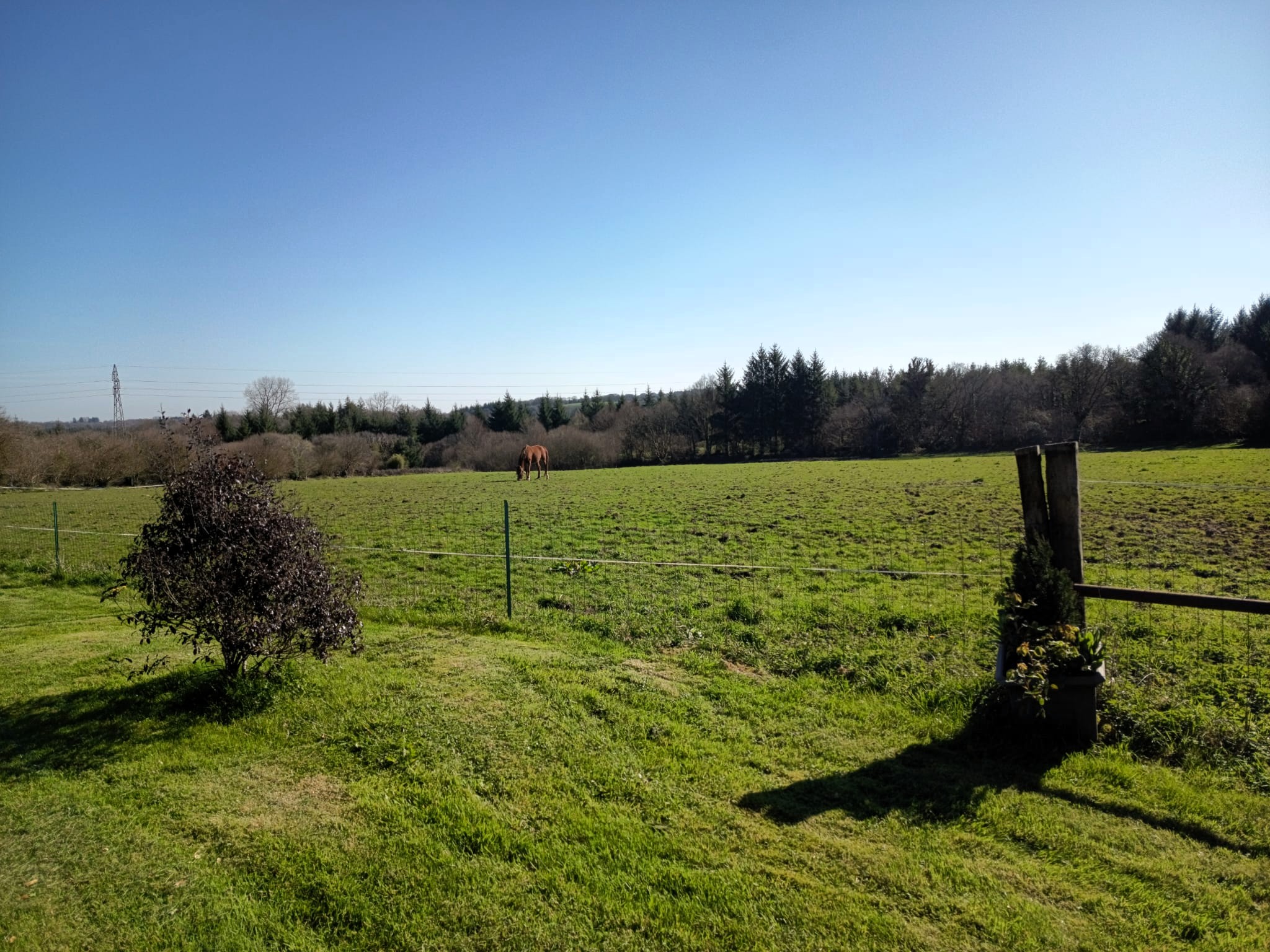 Propriété en France à vendre à Scaër, Finistère - €916 900 - photo 