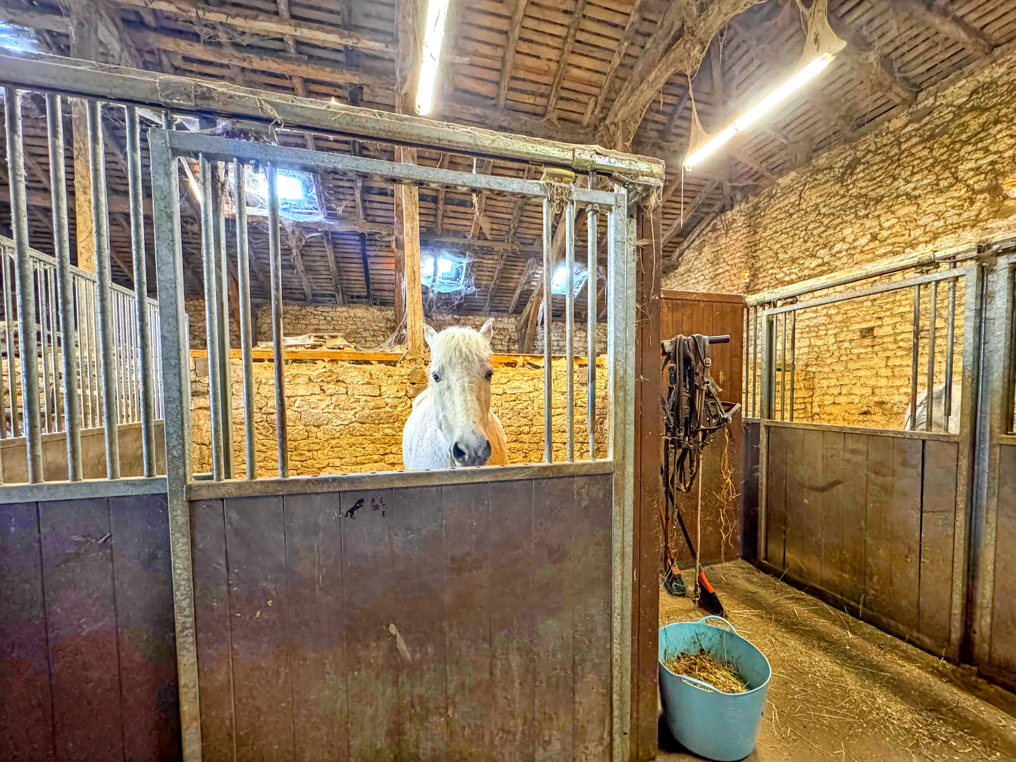 Propriété en France à vendre à Belvèze, Tarn-et-Garonne - €875 000 - photo 