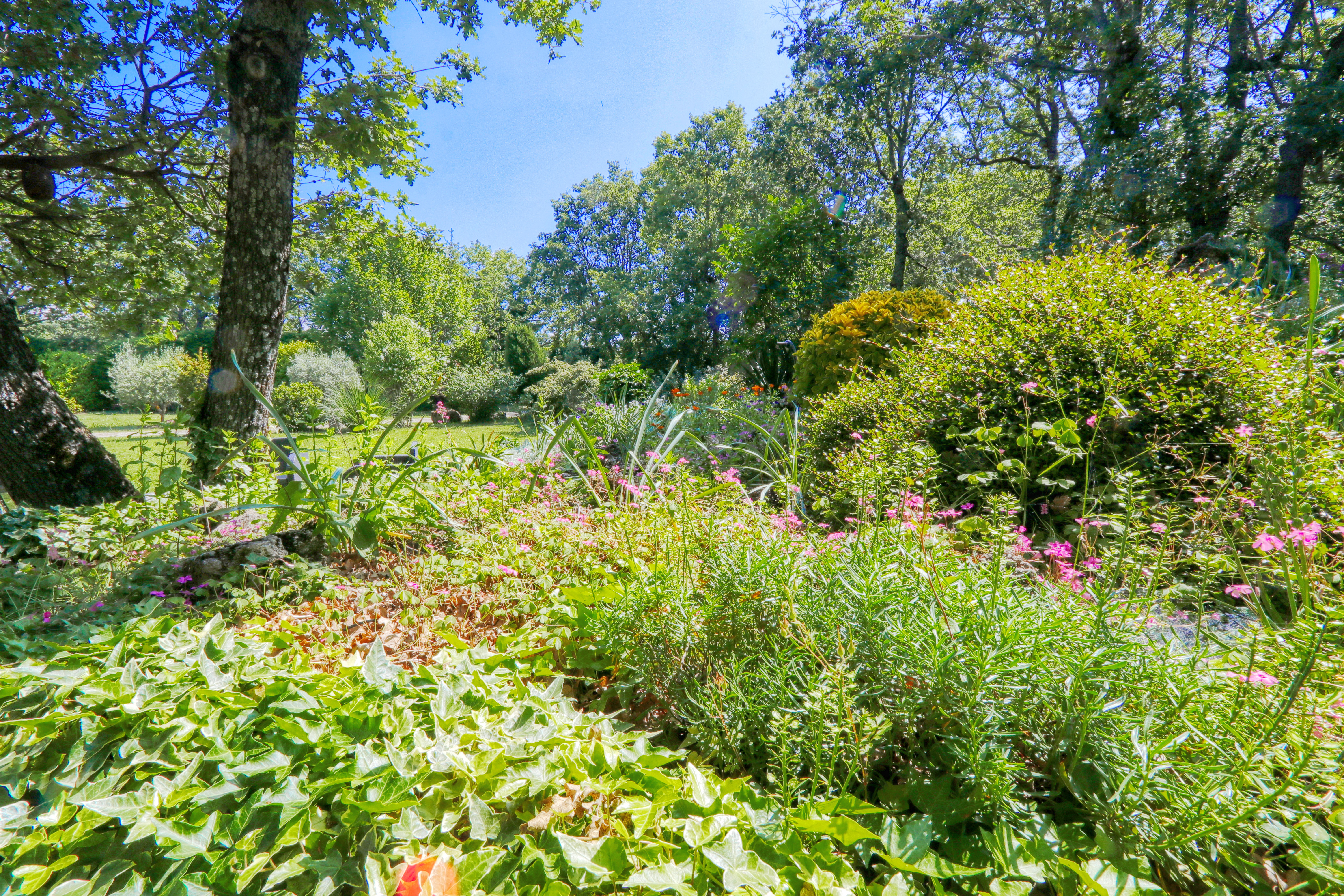 French property for sale in Caseneuve, Vaucluse - €995,000 - photo 