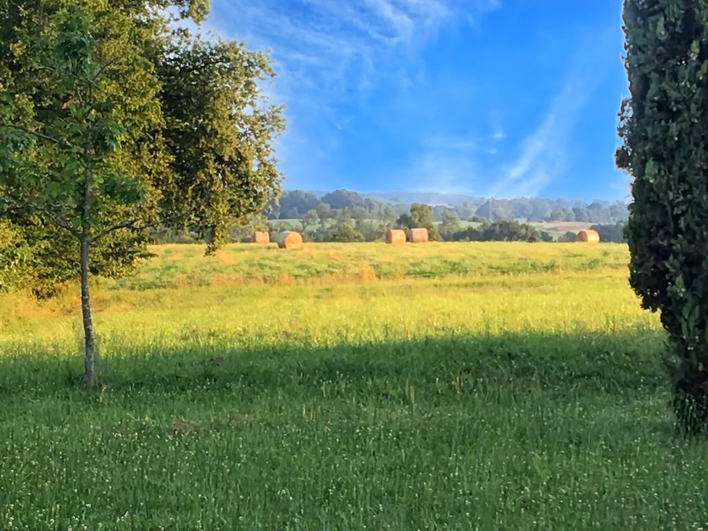 French property for sale in Perchède, Gers - €549,000 - photo 