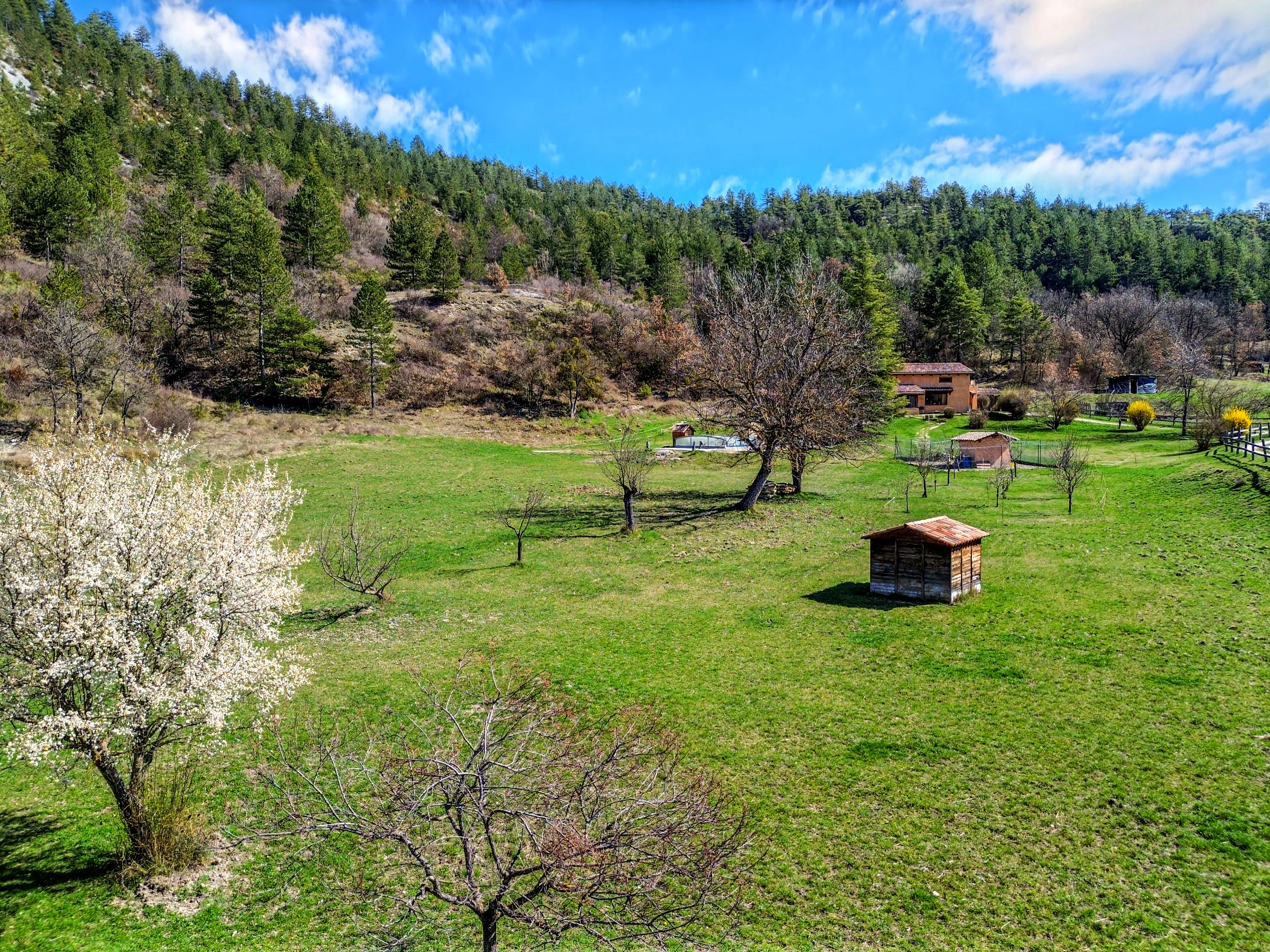 French property for sale in Barrême, Alpes-de-Haute-Provence - €560,000 - photo 