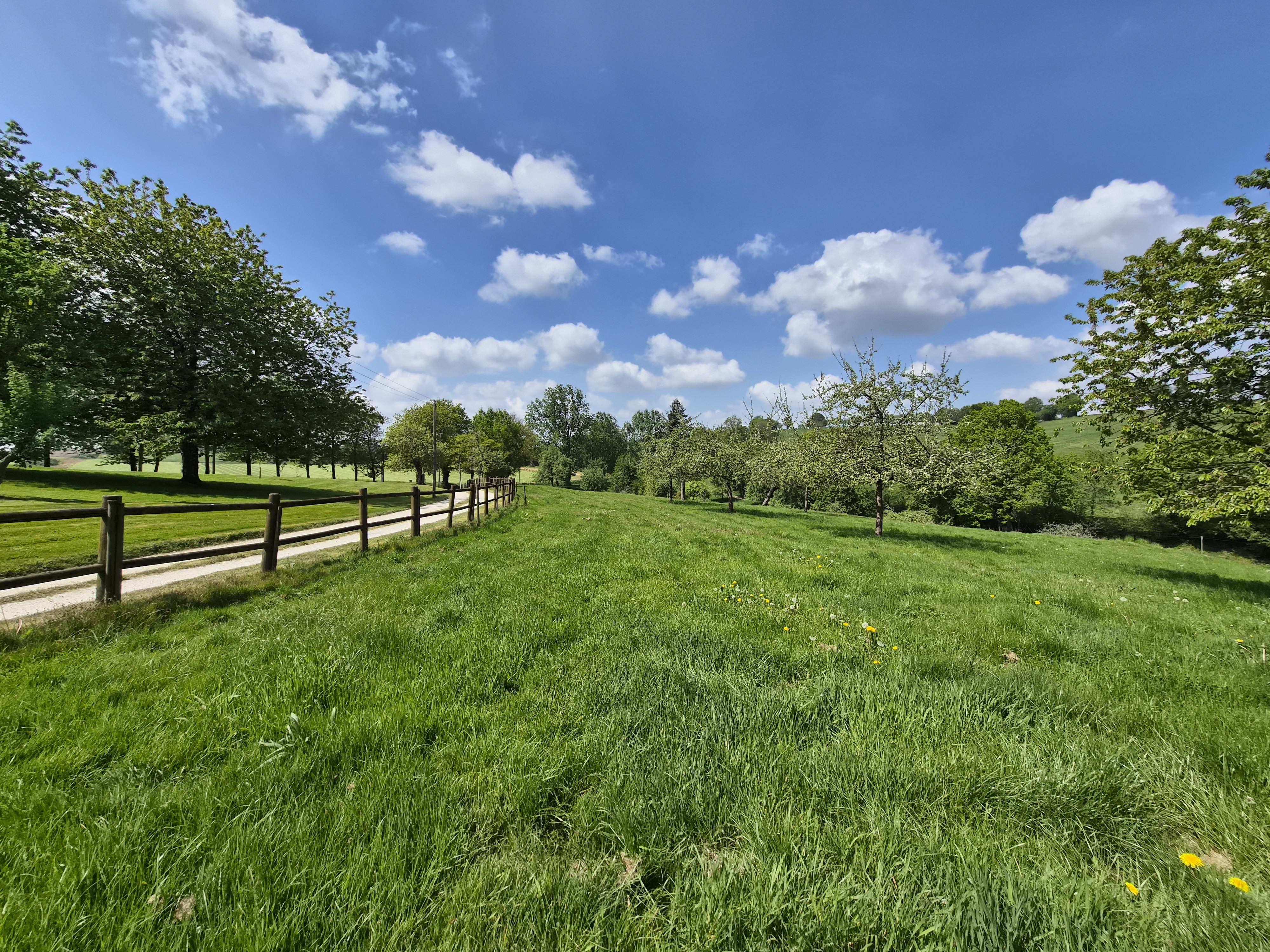 Propriété en France à vendre à Saint-Bômer-les-Forges, Orne - €1 484 000 - photo 