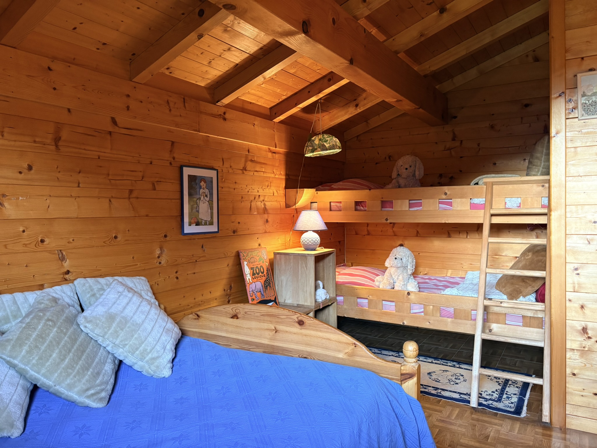 Propriété en France à vendre à Faverges-Seythenex, Haute-Savoie - €795 000 - photo 