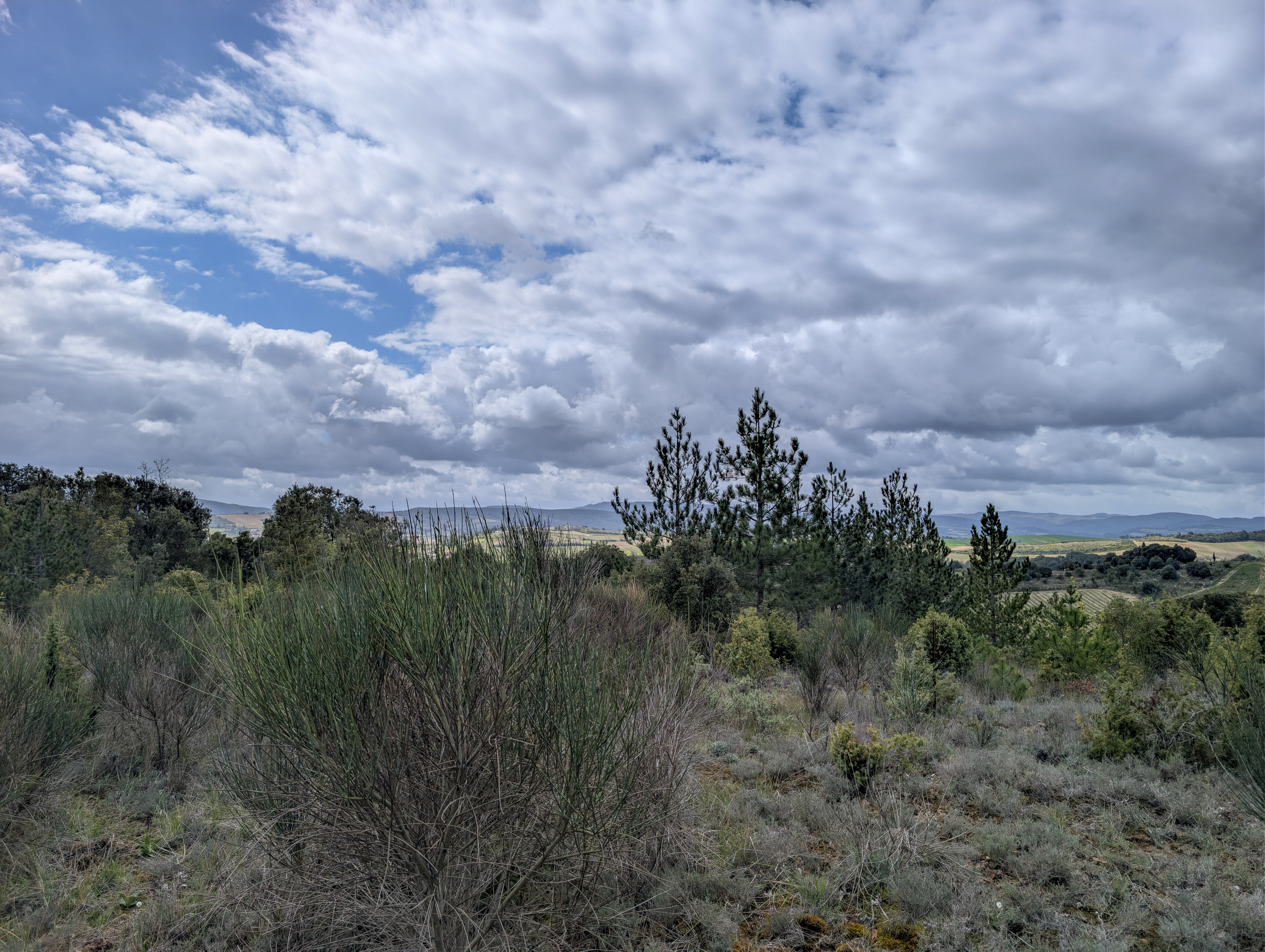 Propriété en France à vendre à Limoux, Aude - €645 000 - photo 