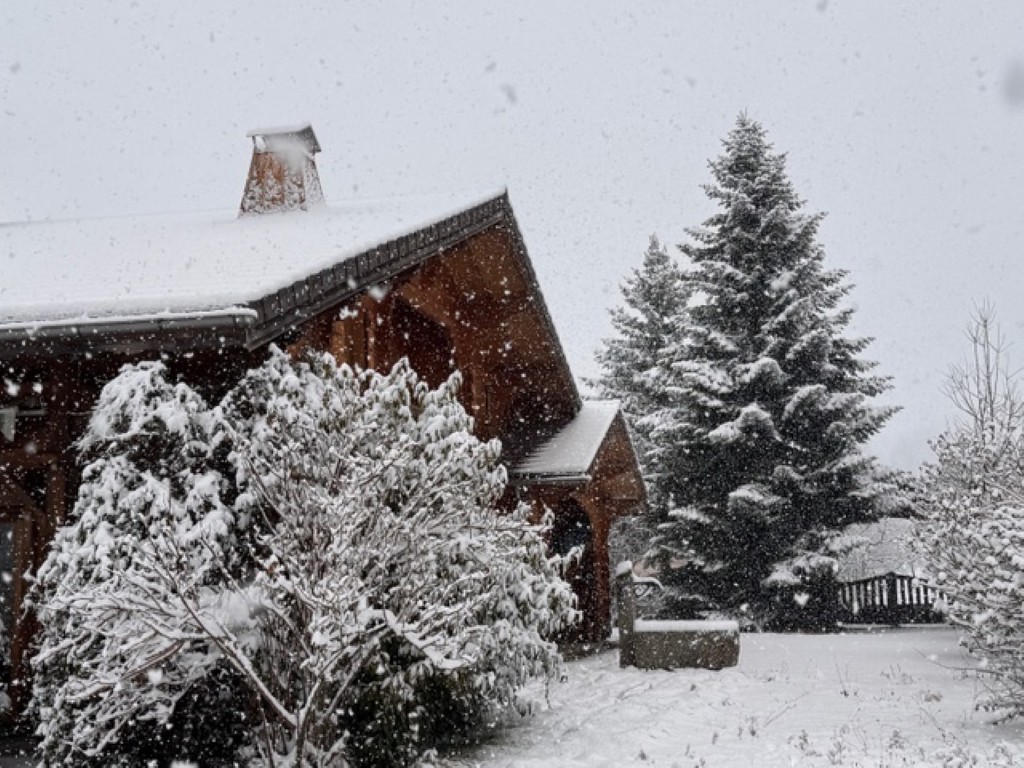Propriété en France à vendre à Faverges-Seythenex, Haute-Savoie - €795 000 - photo 
