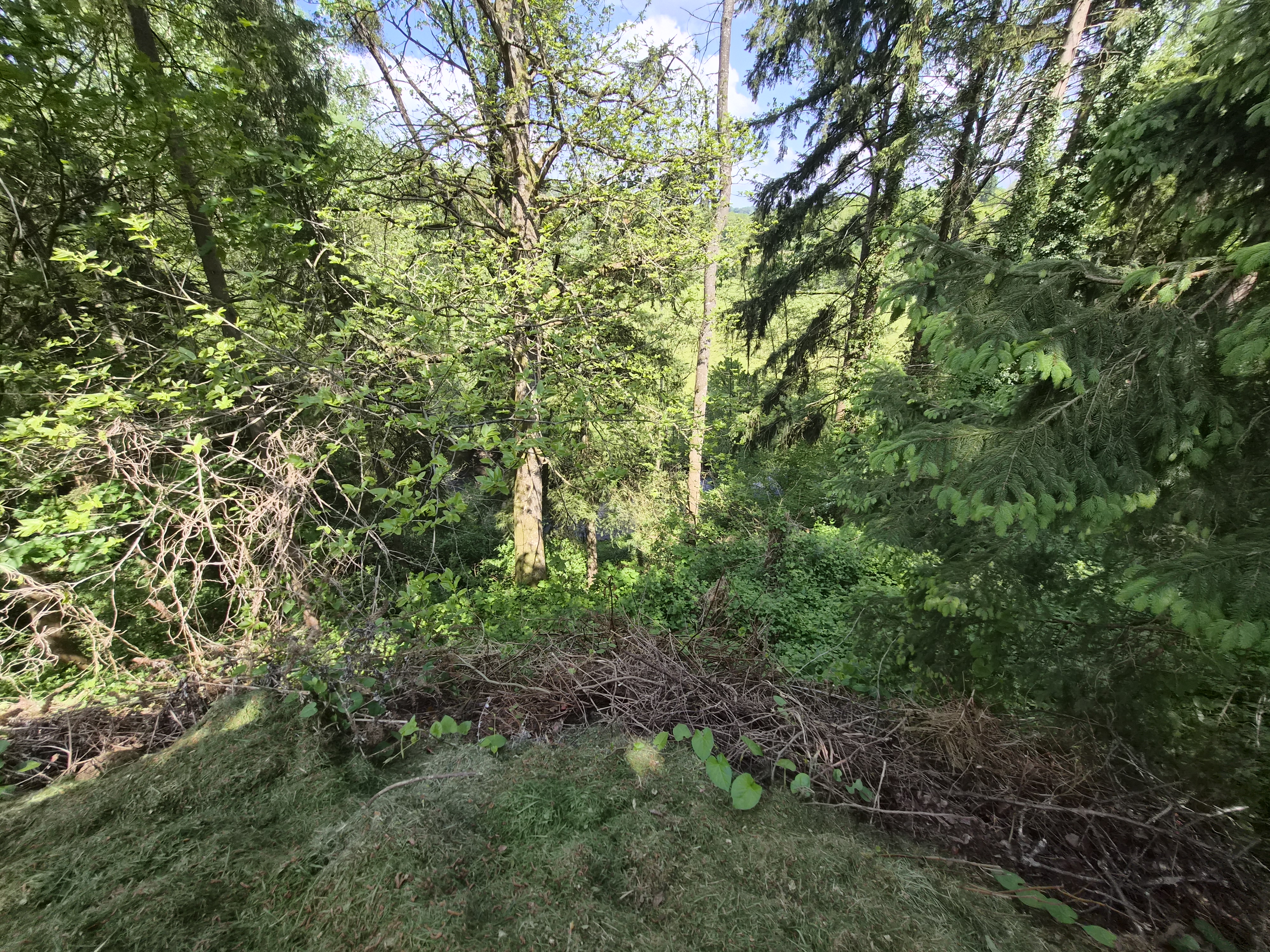 Propriété en France à vendre à Saint-Bômer-les-Forges, Orne - €1 484 000 - photo 