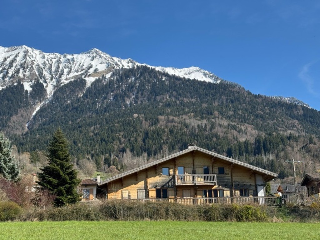 Propriété en France à vendre à Faverges-Seythenex, Haute-Savoie - €795 000 - photo 