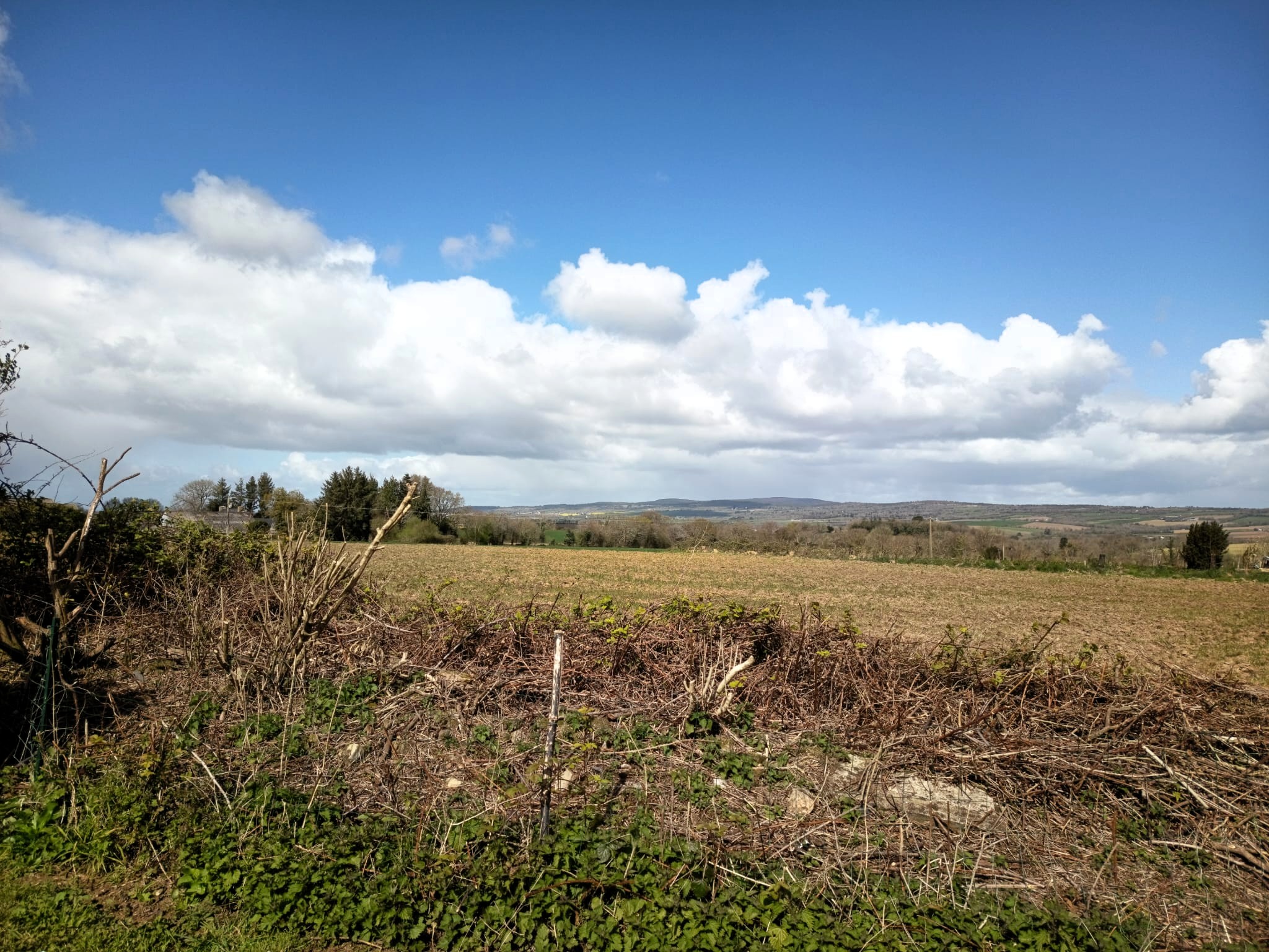 Propriété en France à vendre à Cast, Finistère - €965 000 - photo 