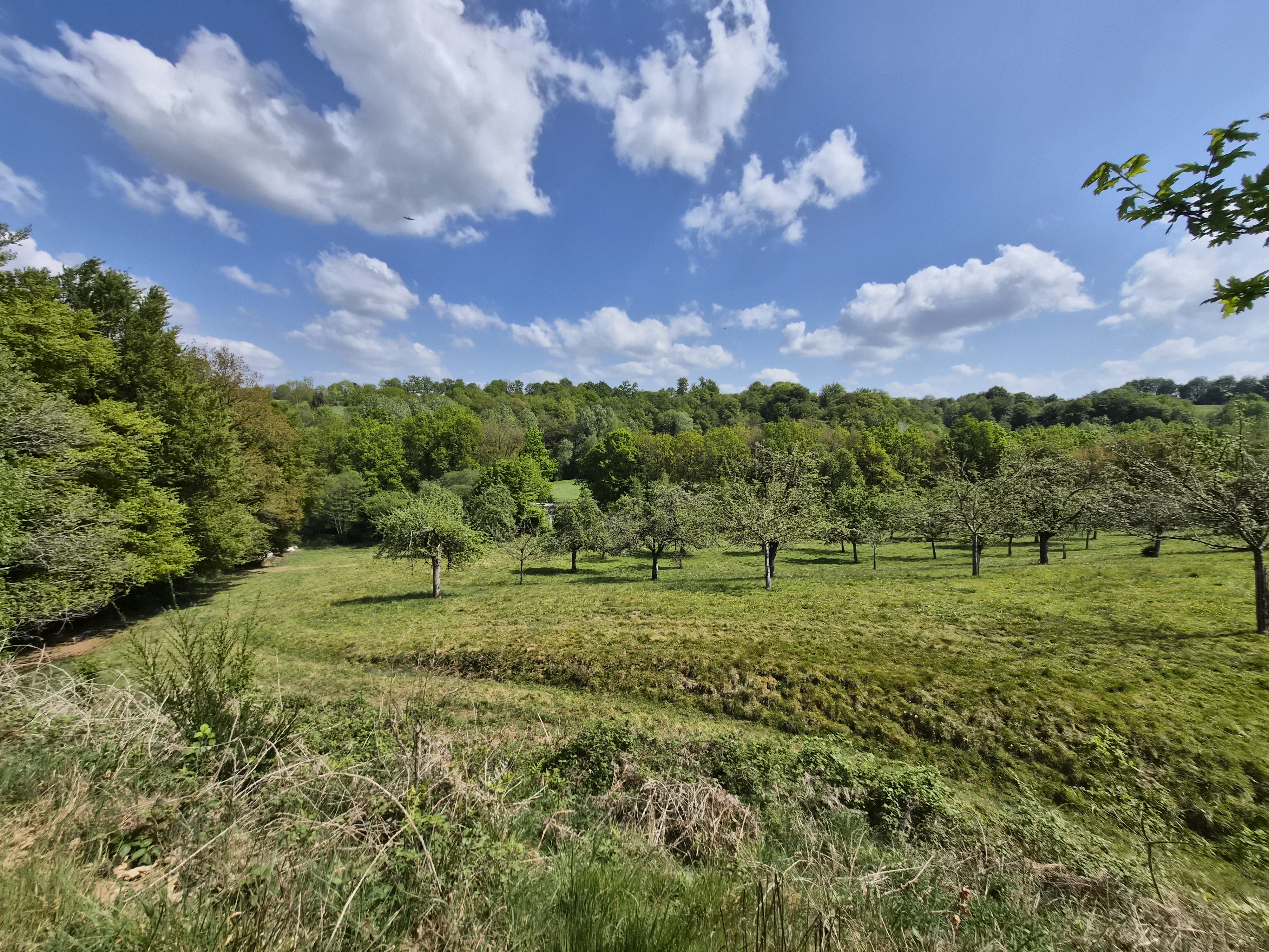 Propriété en France à vendre à Saint-Bômer-les-Forges, Orne - €1 484 000 - photo 