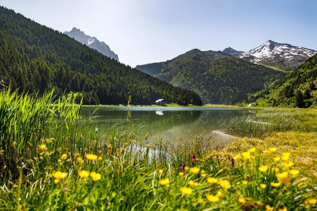 French property for sale in MERIBEL LES ALLUES, Savoie - €2,850,000 - photo 