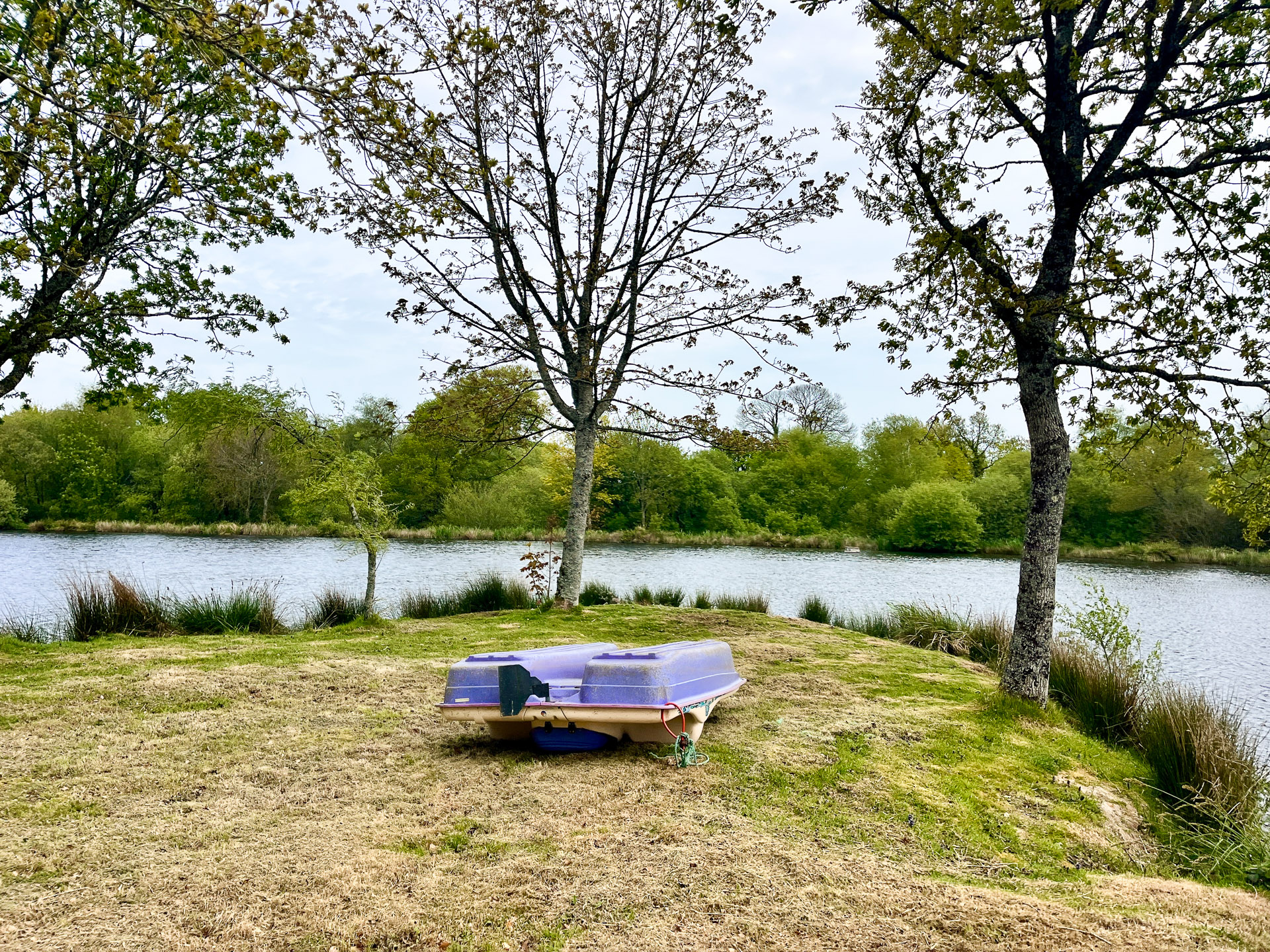 French property for sale in Lescouët-Gouarec, Côtes-d'Armor - €874,500 - photo 