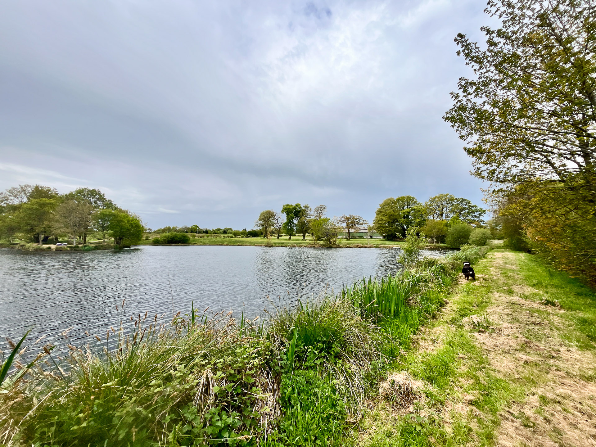 French property for sale in Lescouët-Gouarec, Côtes-d'Armor - €874,500 - photo 