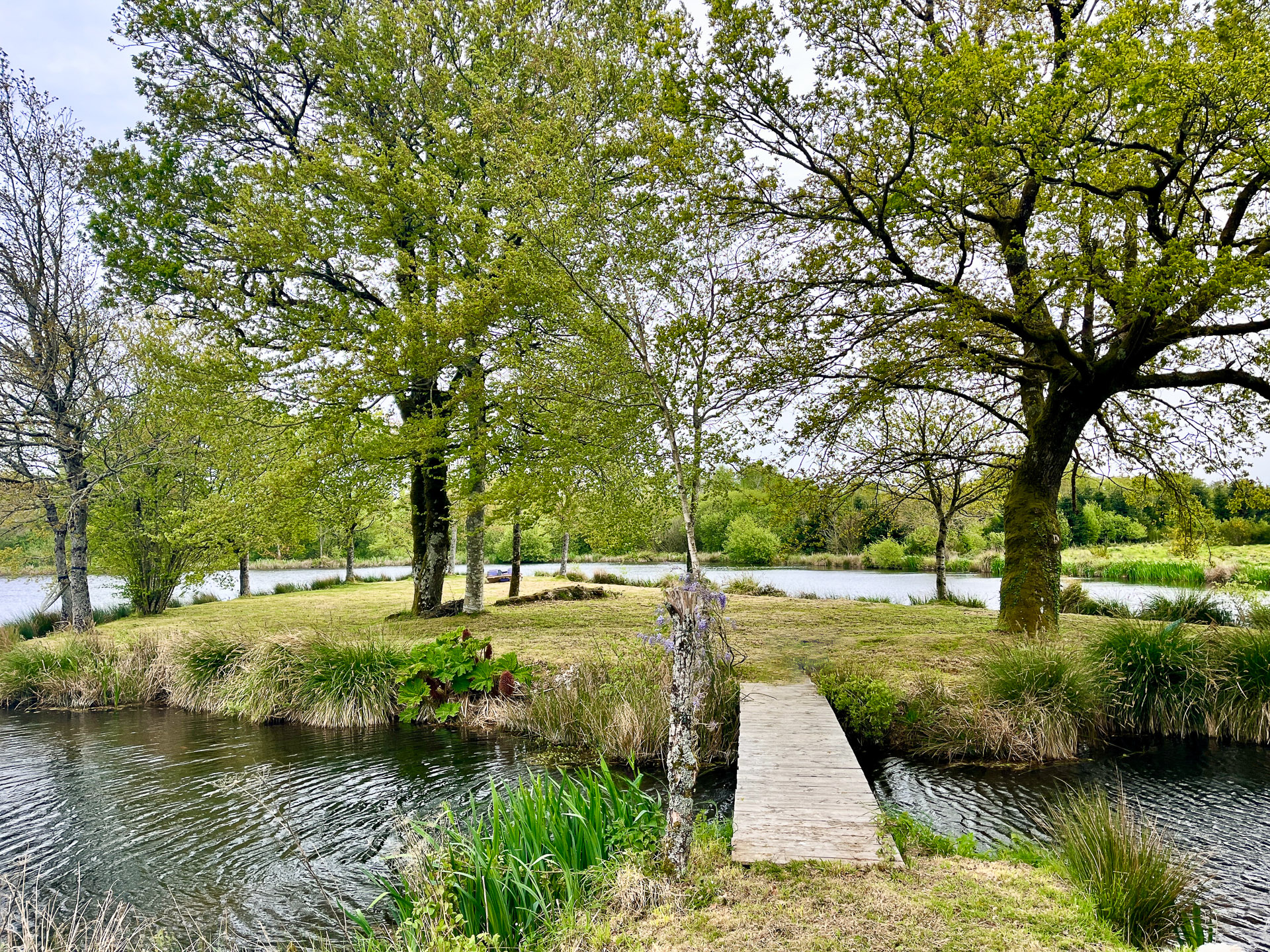 French property for sale in Lescouët-Gouarec, Côtes-d'Armor - €874,500 - photo 