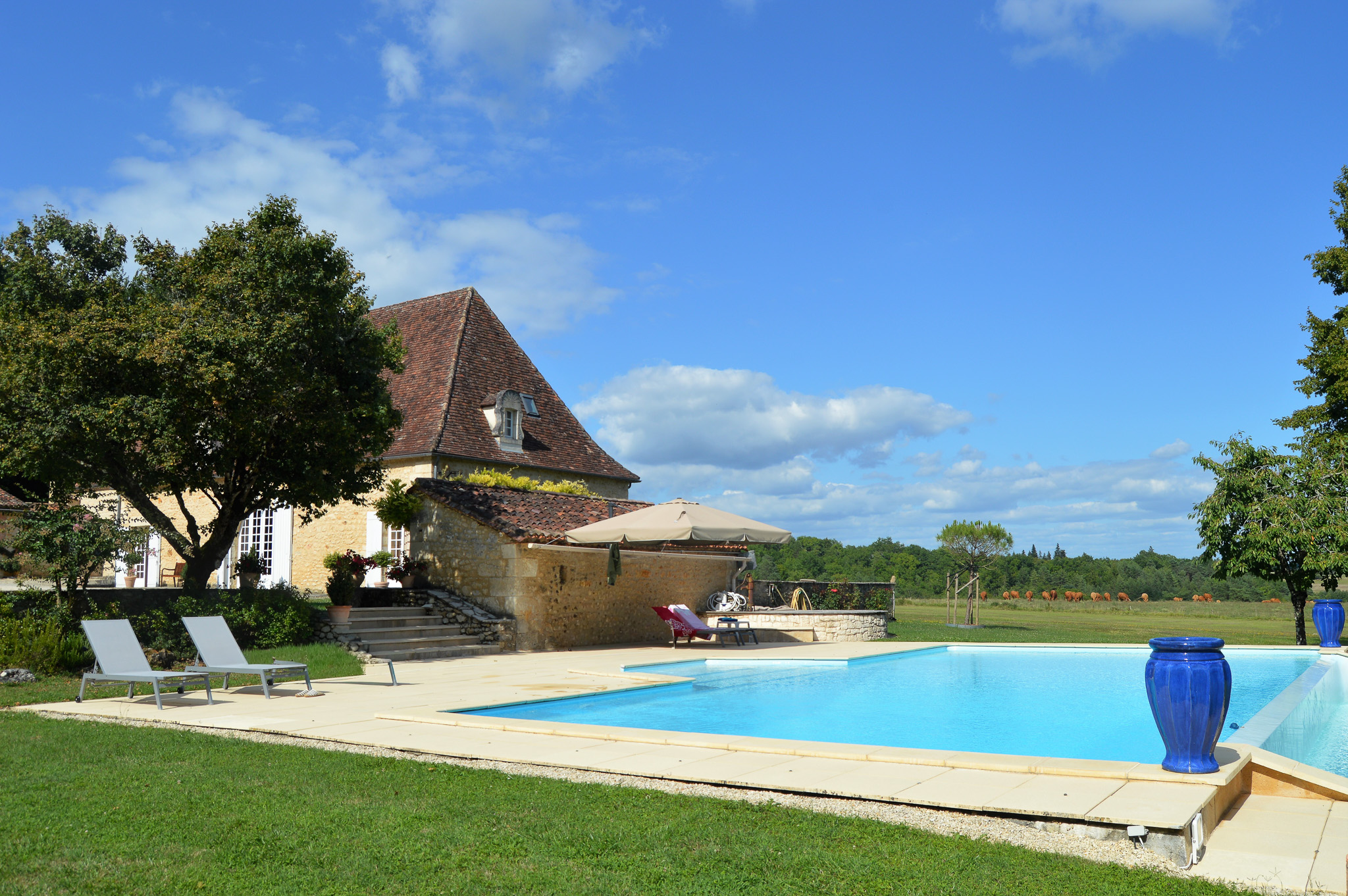 French property for sale in Saint-Martin-des-Combes, Dordogne - €1,200,000 - photo 