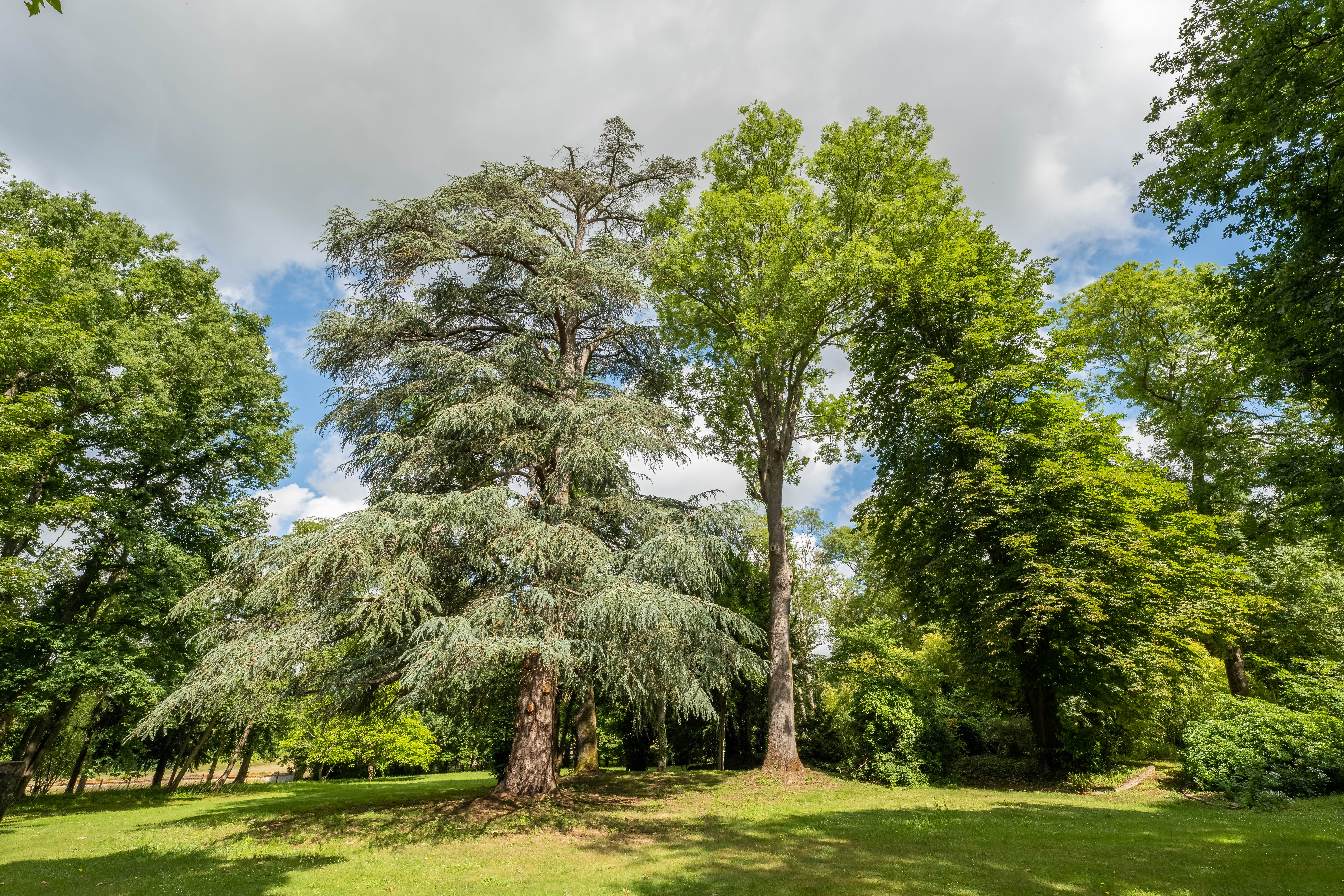 Propriété en France à vendre à Tournan-en-Brie, Seine-et-Marne - €1 975 000 - photo 