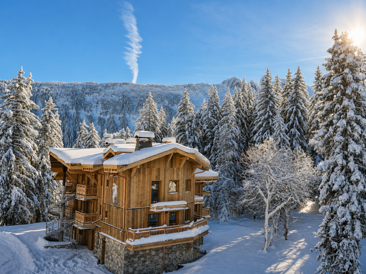 Propriété en France à vendre à Courchevel, Savoie - €2 530 000 - photo 