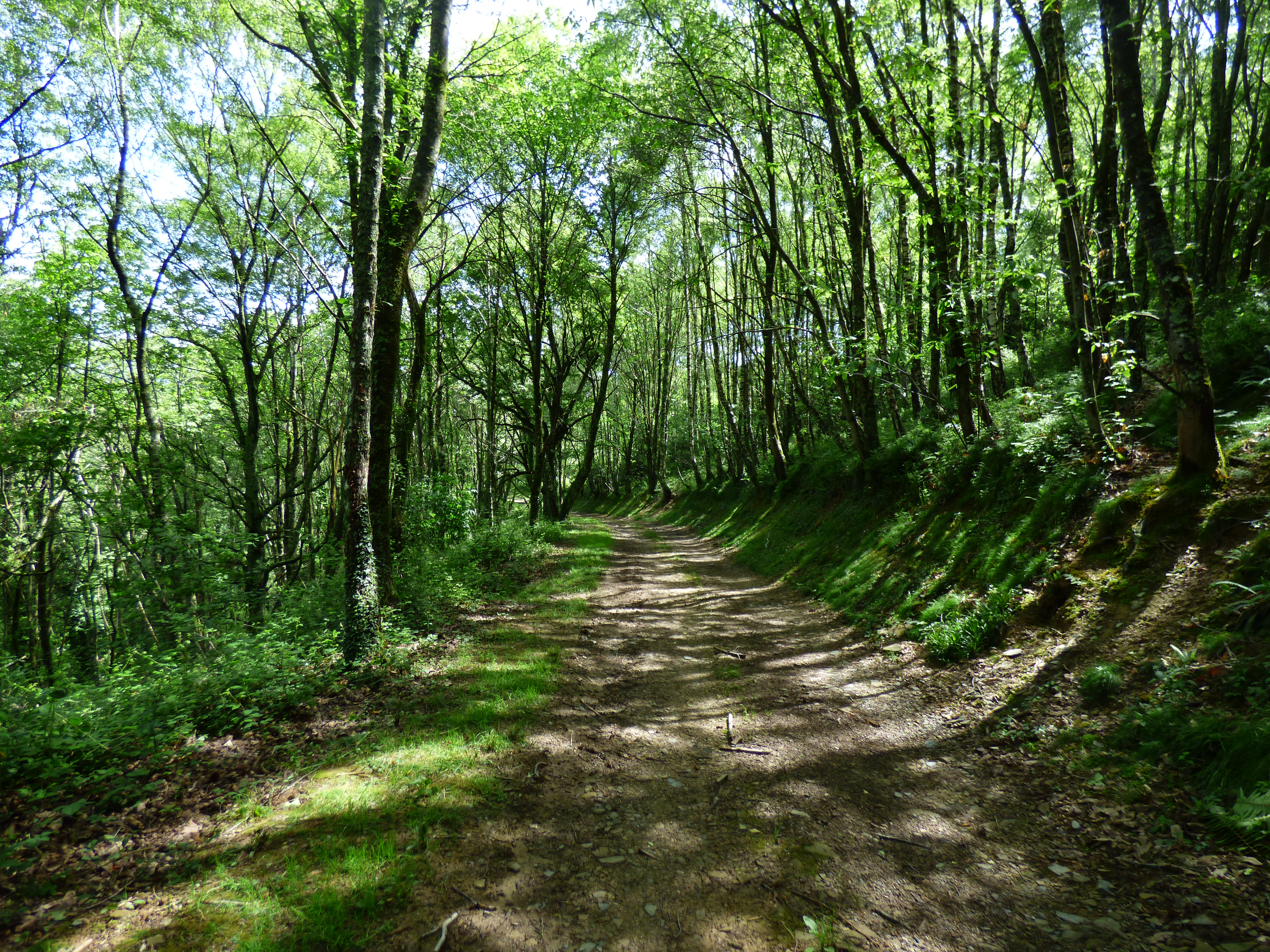 French property for sale in Ossun-ez-Angles, Hautes-Pyrénées - €780,000 - photo 