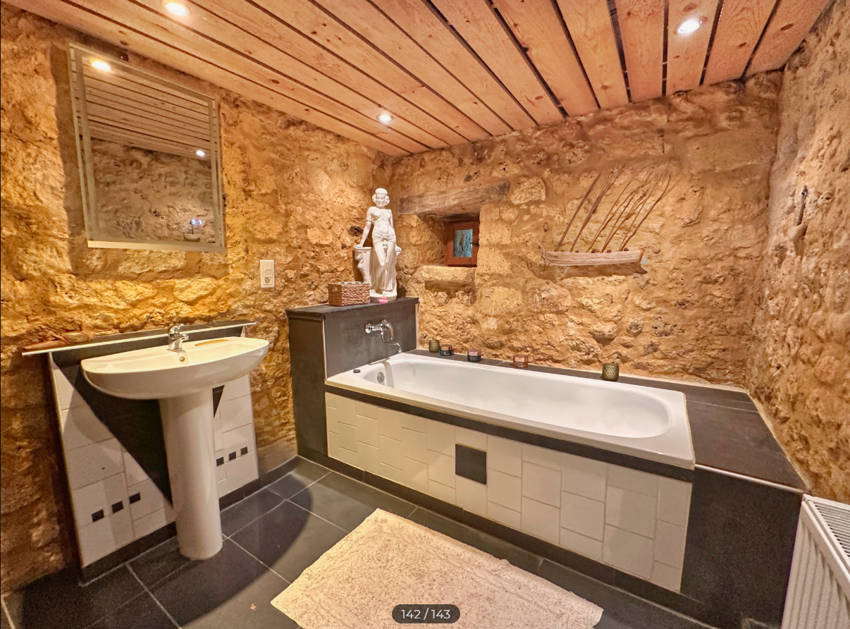 French property for sale in Verteillac, Dordogne - €636,000 - photo 