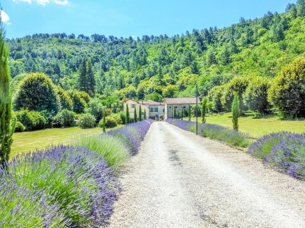 French property for sale in Branoux-les-Taillades, Gard - €1,475,000 - photo 