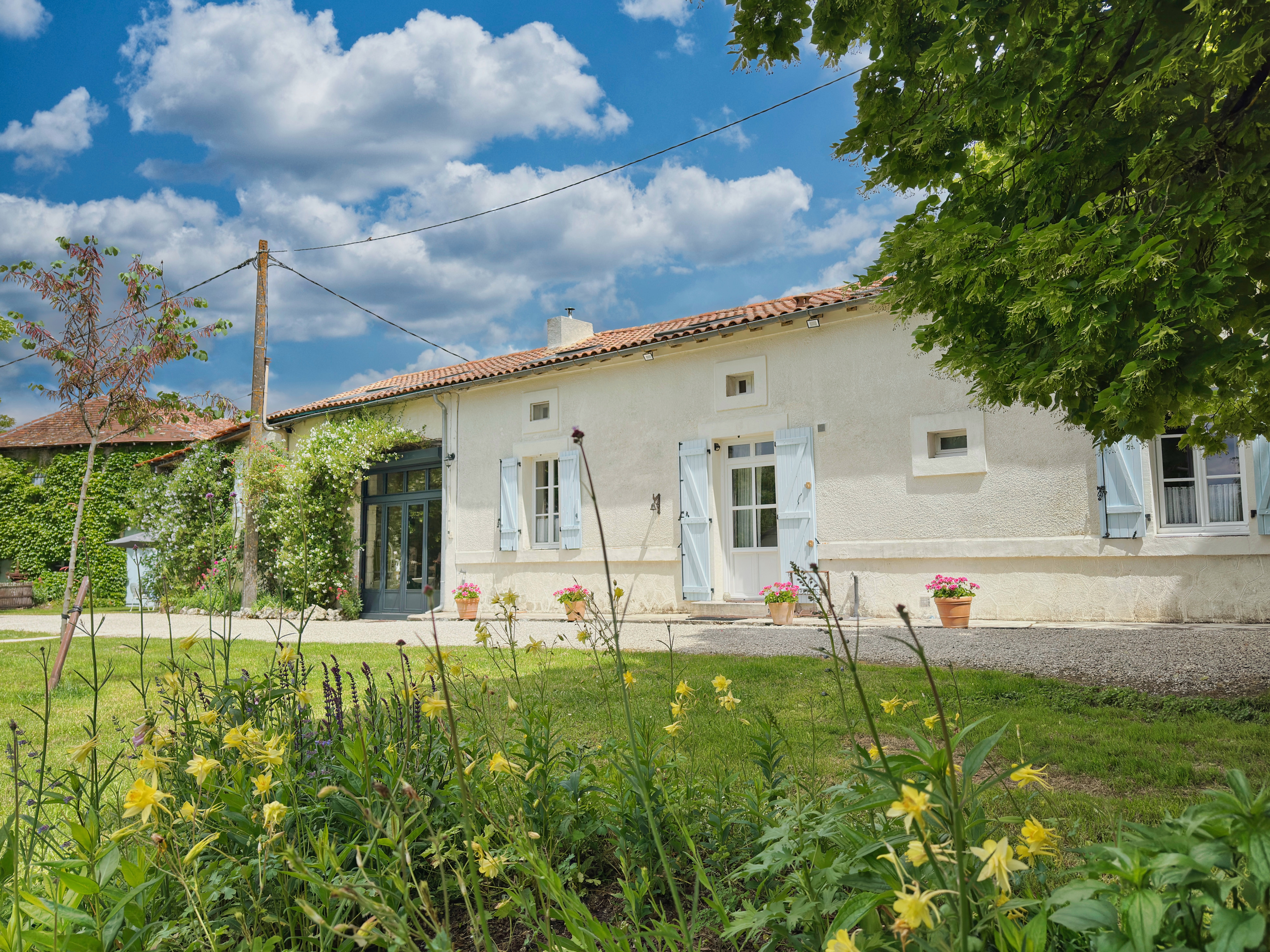 French property for sale in Saint-Romain, Charente - €795,000 - photo 