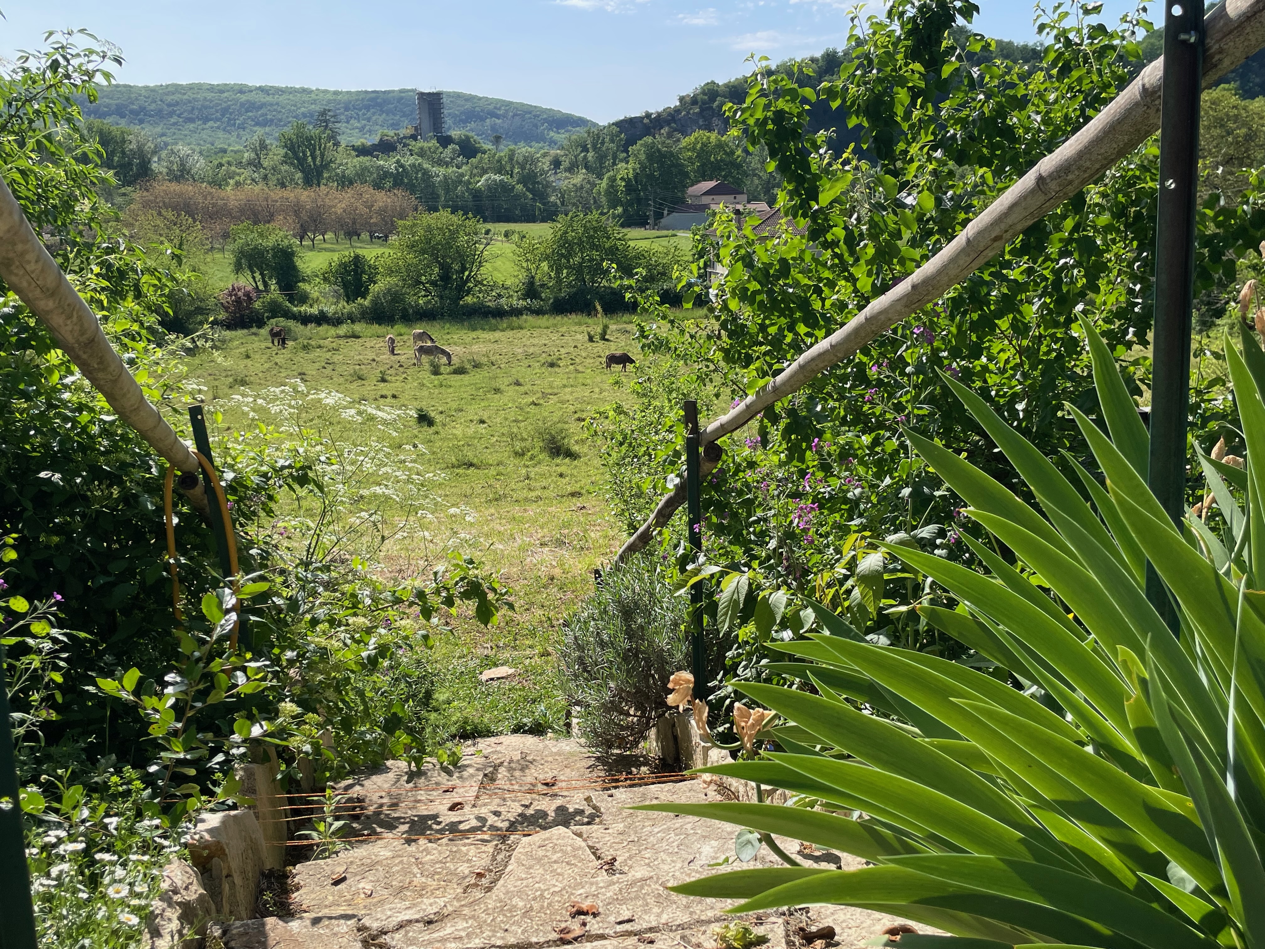 Propriété en France à vendre à Luzech, Lot - €565 000 - photo 