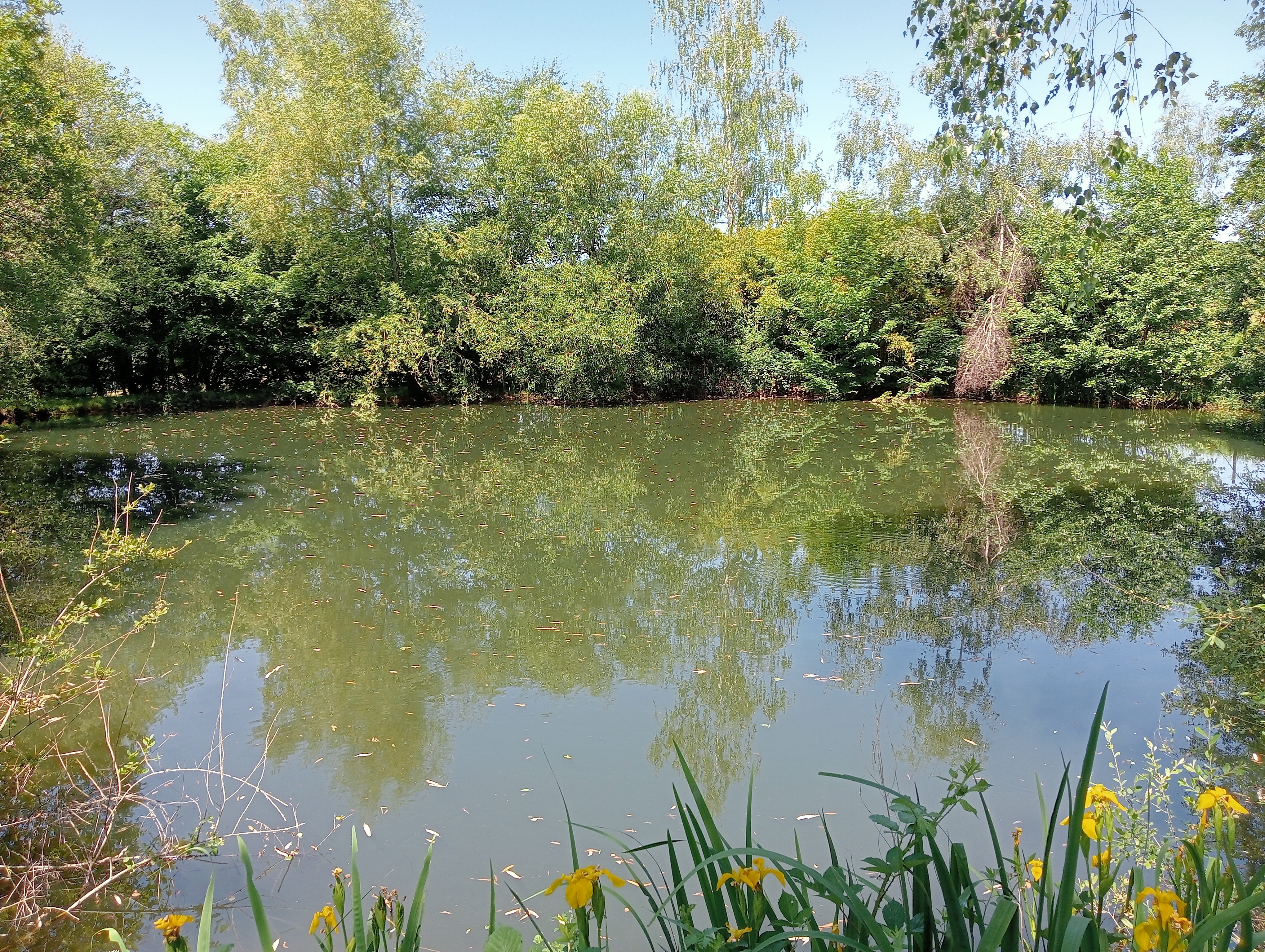 Propriété en France à vendre à Argentat-sur-Dordogne, Corrèze - €1 160 000 - photo 