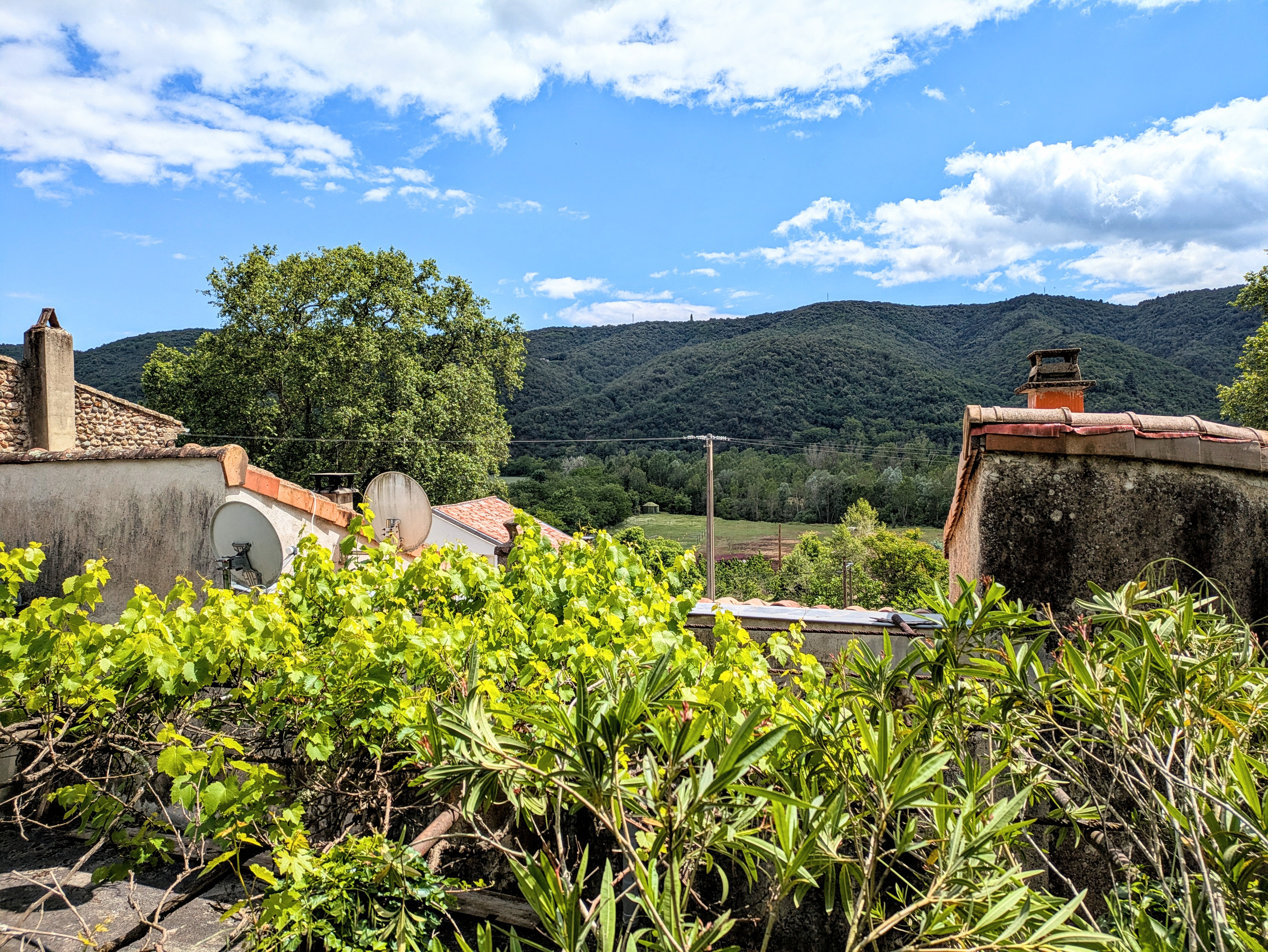 Propriété en France à vendre à Saint-Laurent-du-Pape, Ardèche - €750 000 - photo 