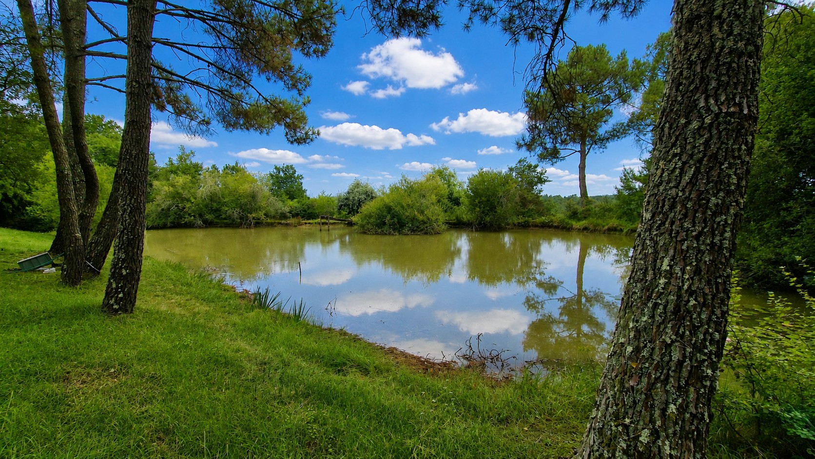 Propriété en France à vendre à Église-Neuve-d'Issac, Dordogne - €950 000 - photo 