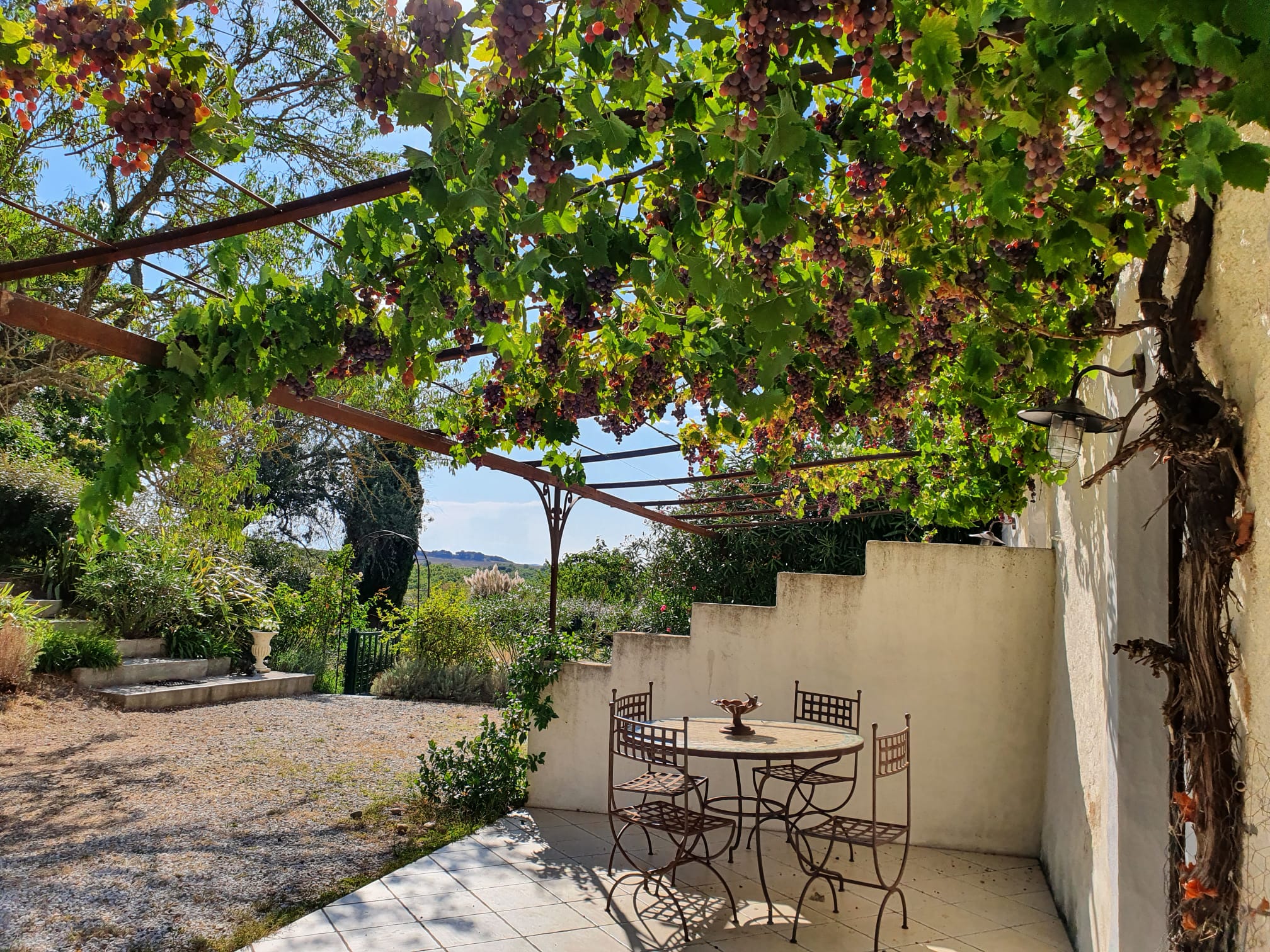 French property for sale in Montréal, Aude - €1,100,000 - photo 