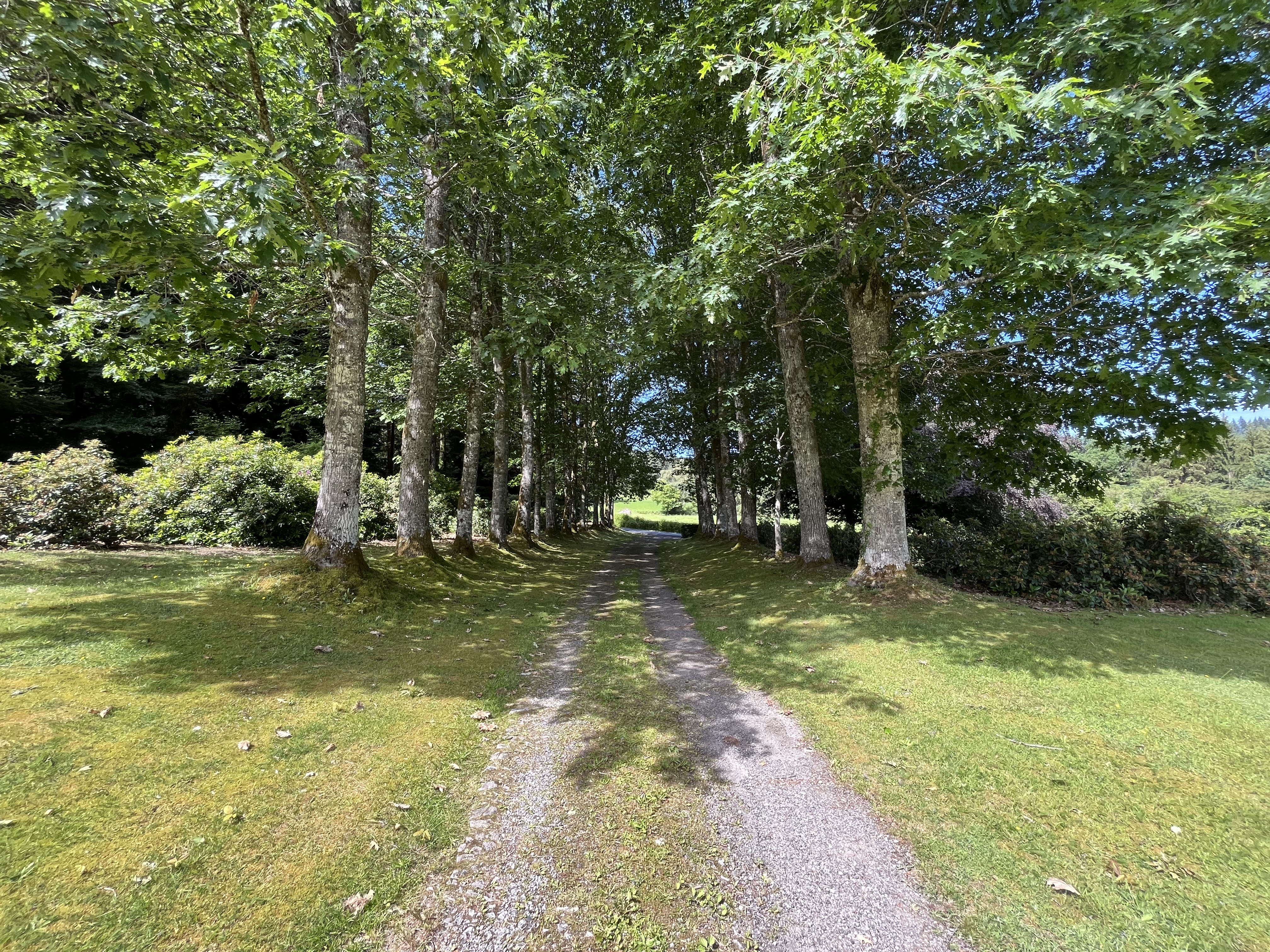 French property for sale in Rempnat, Haute-Vienne - €795,000 - photo 