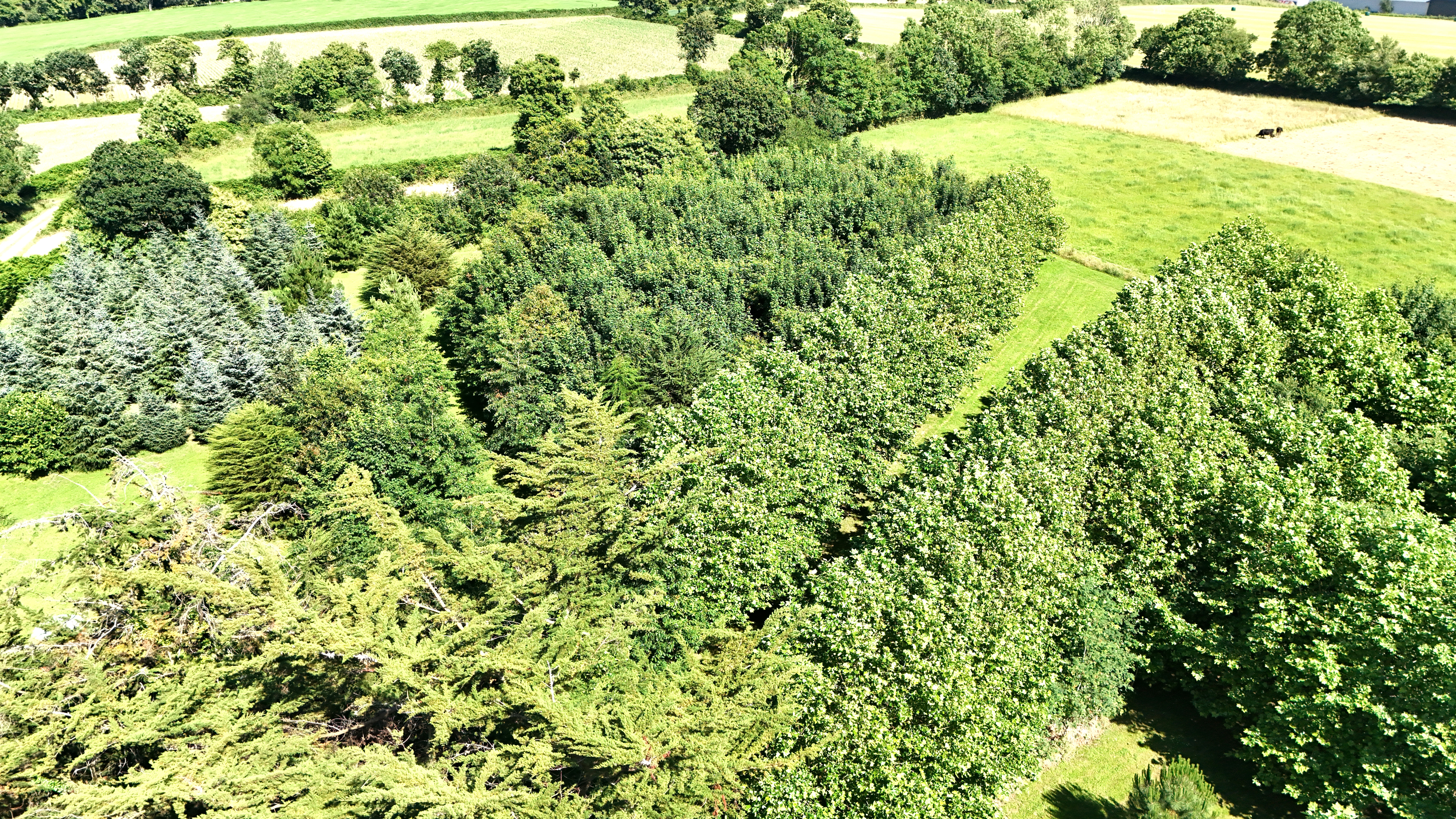 Propriété en France à vendre à Ploumilliau, Côtes-d'Armor - €748 000 - photo 
