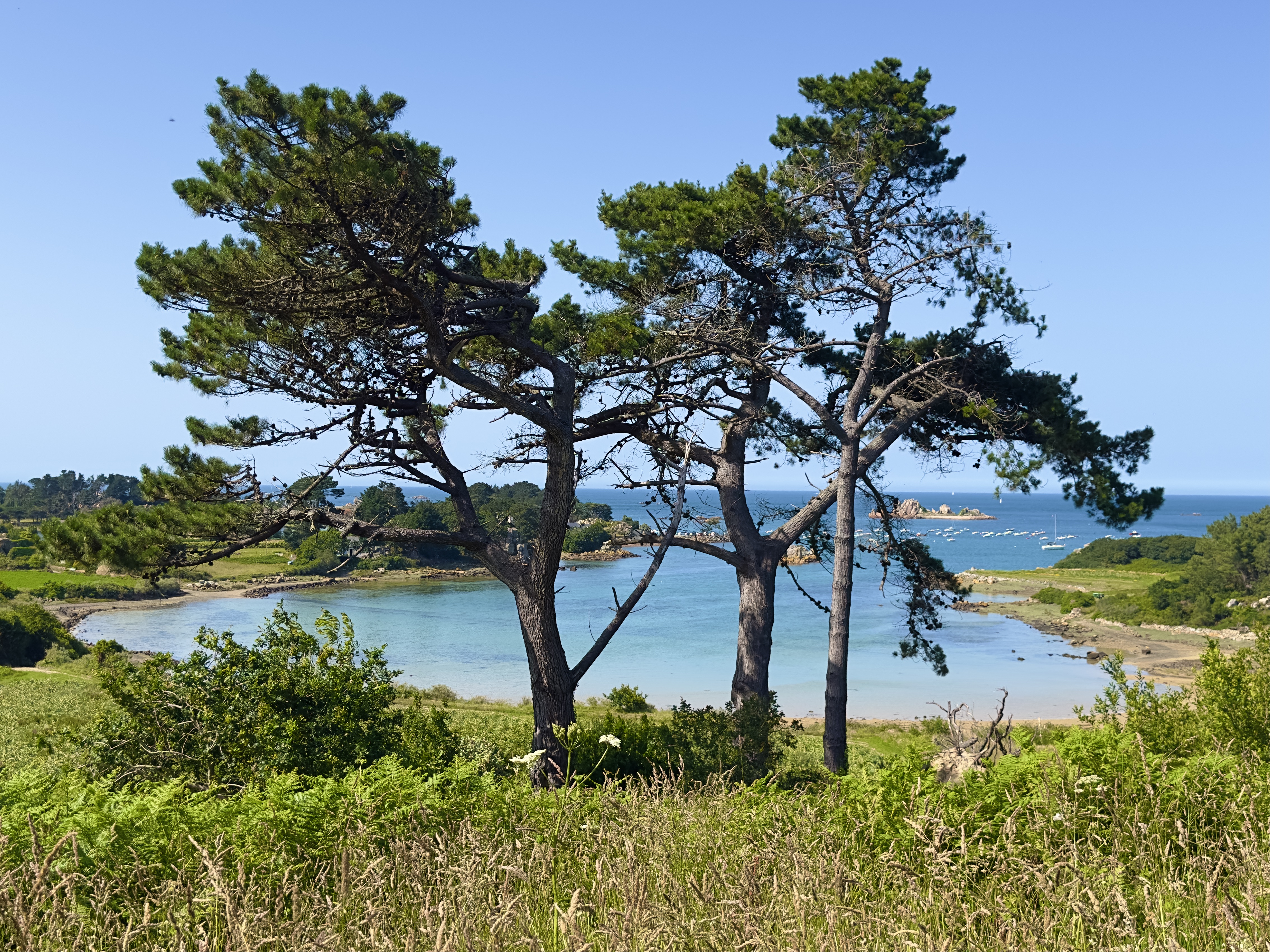 French property for sale in Penvénan, Côtes-d'Armor - €998,400 - photo 