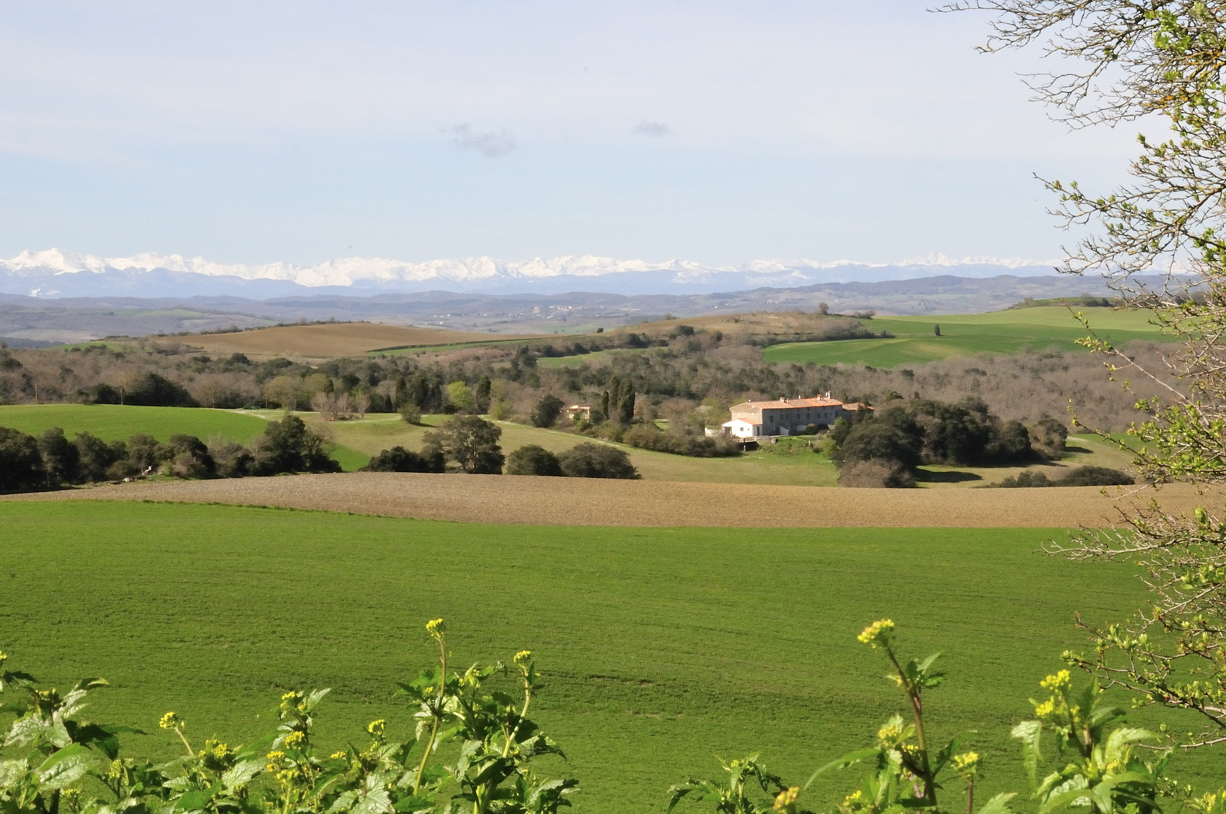French property for sale in Montréal, Aude - €1,100,000 - photo 