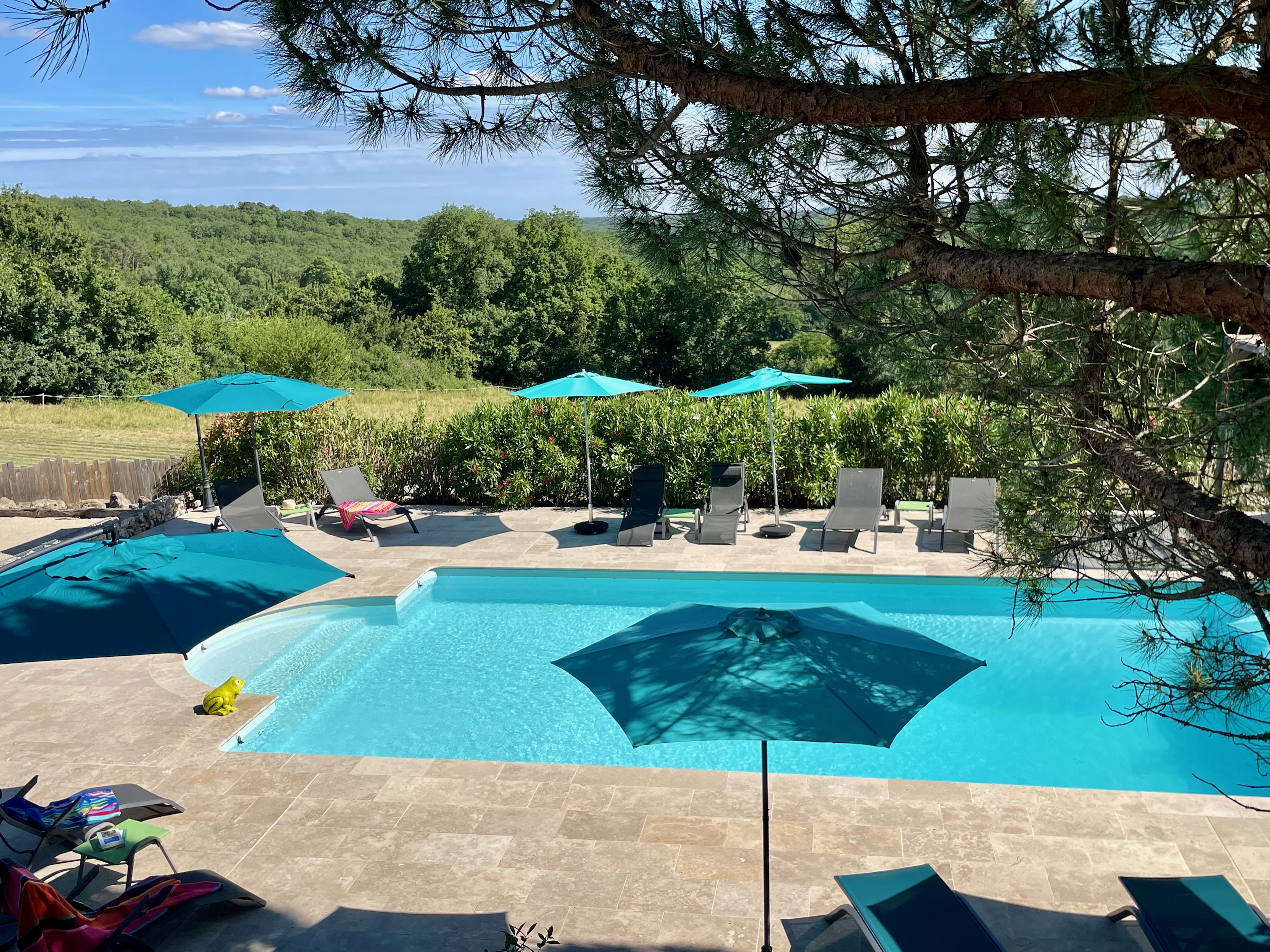 French property for sale in Pontcirq, Lot - €818,000 - photo 