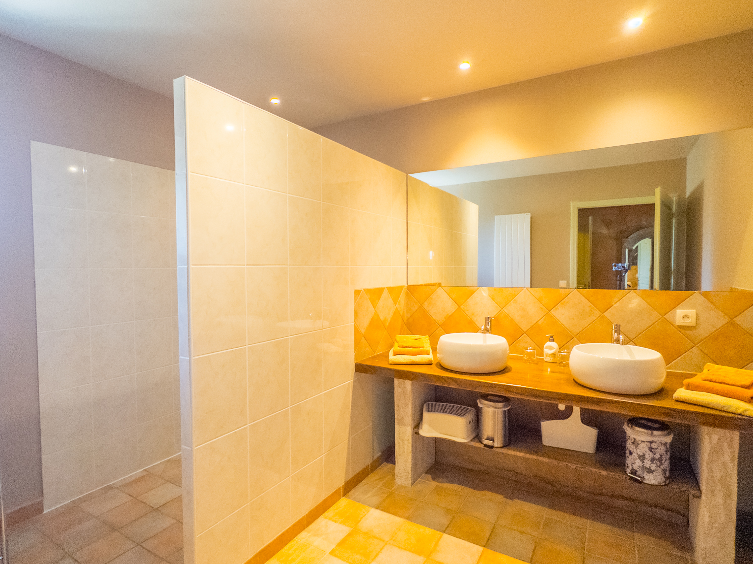 Propriété en France à vendre à Coulonges, Vienne - €894 999 - photo 